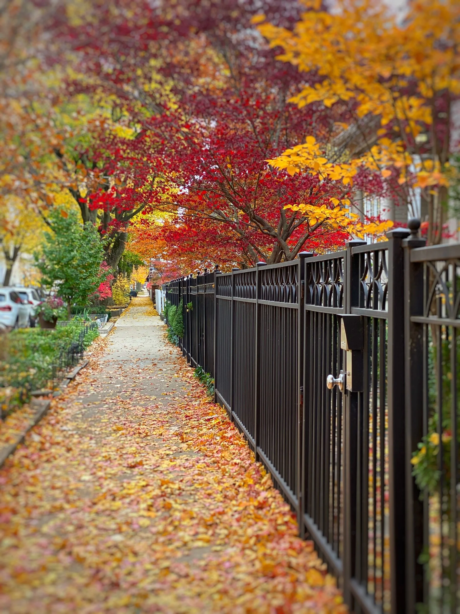 A Midwestern Autumn_1