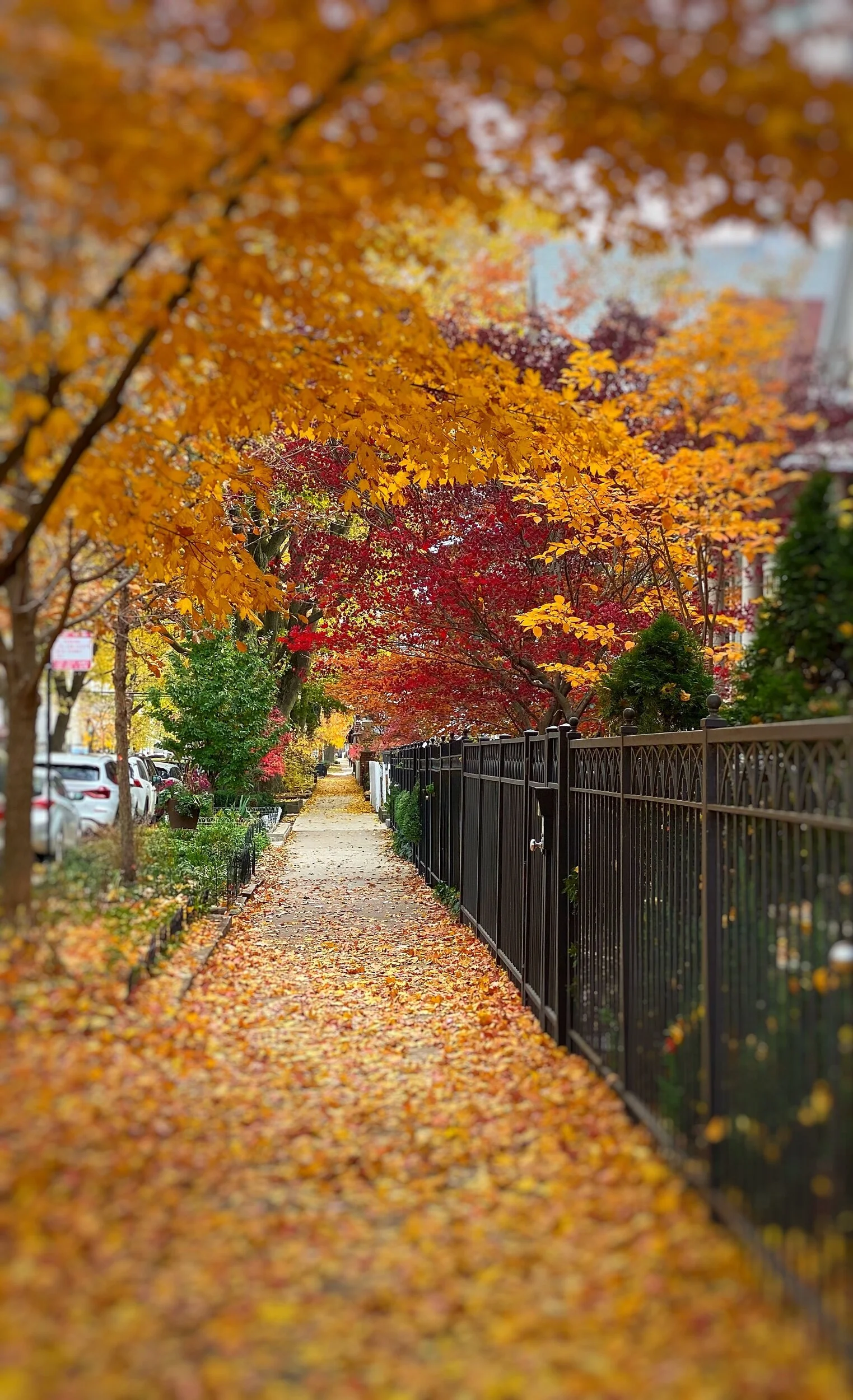 A Midwestern Autumn_2