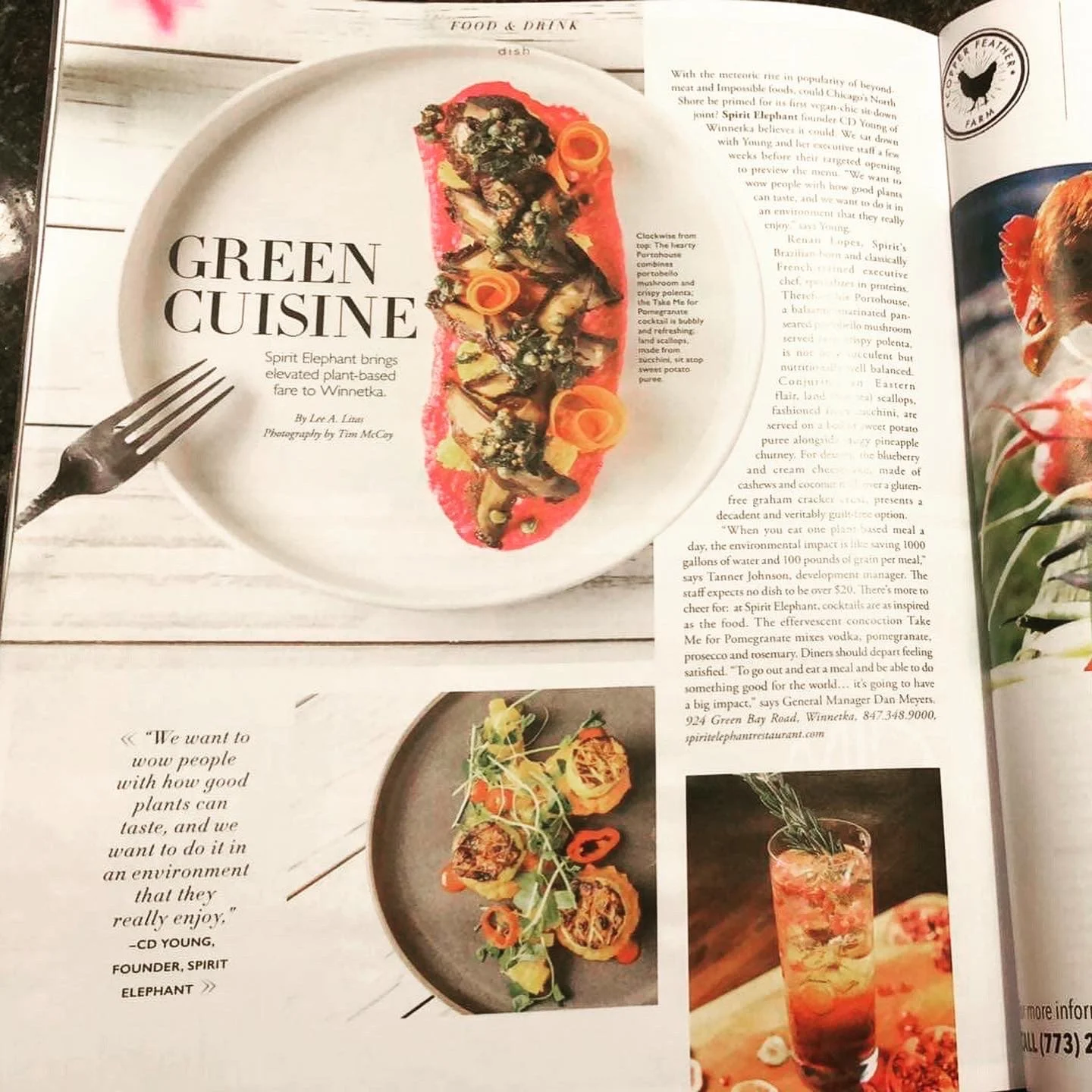 Green Cuisine, Modern Luxury Magazine