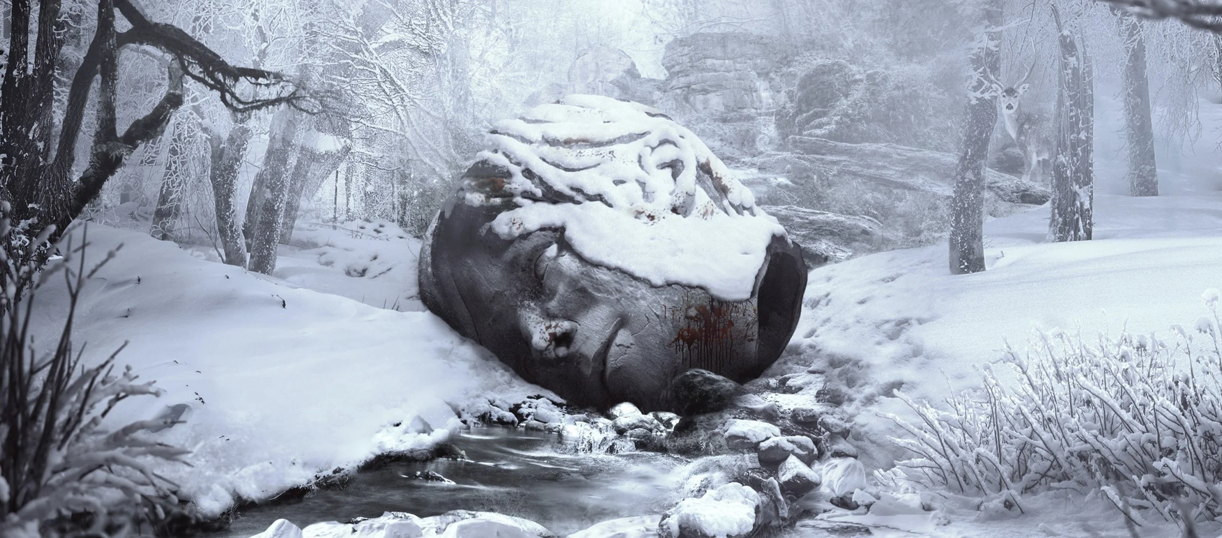 Winter Squarespace Banner.jpg