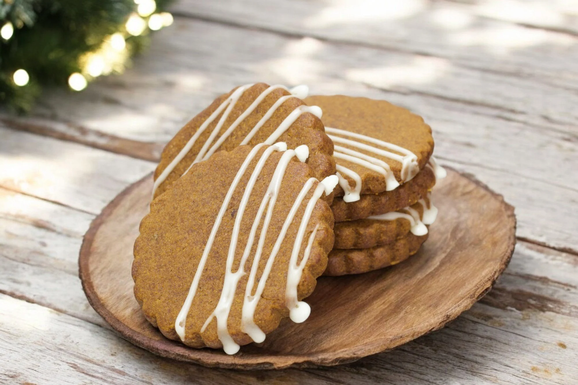 Vegan Ginger Spice