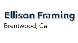 Ellison Framing v3.png