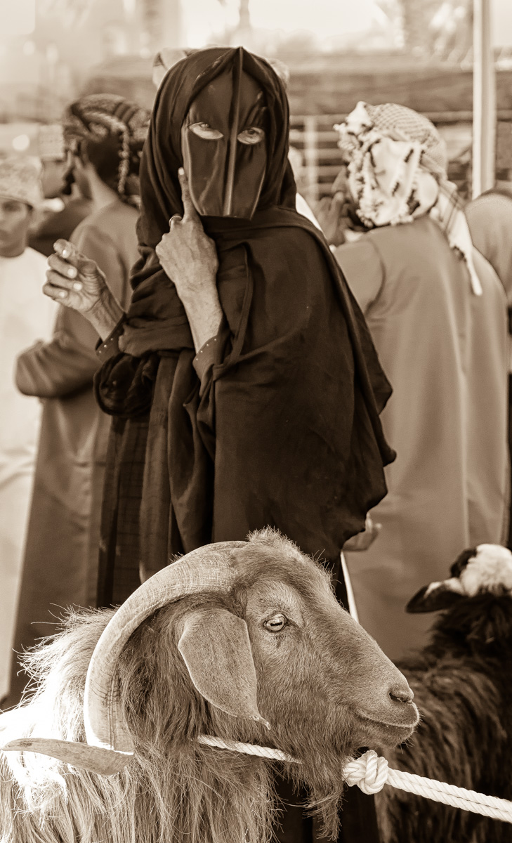 Goat Market, Oman