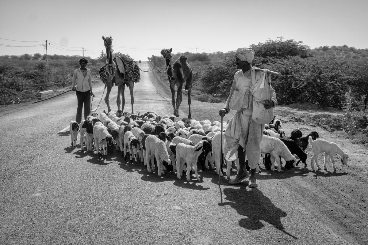On the road to Nagaur, India