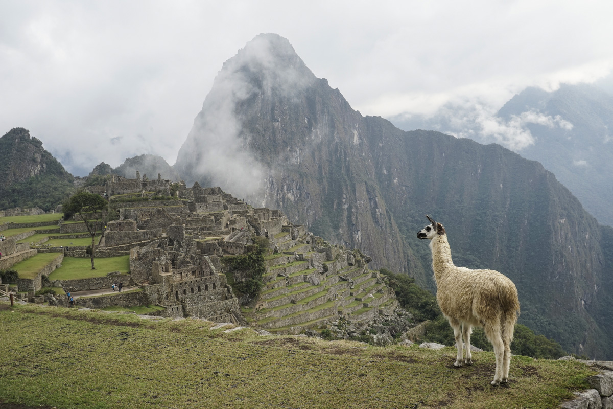 Machu Picchu, Peru