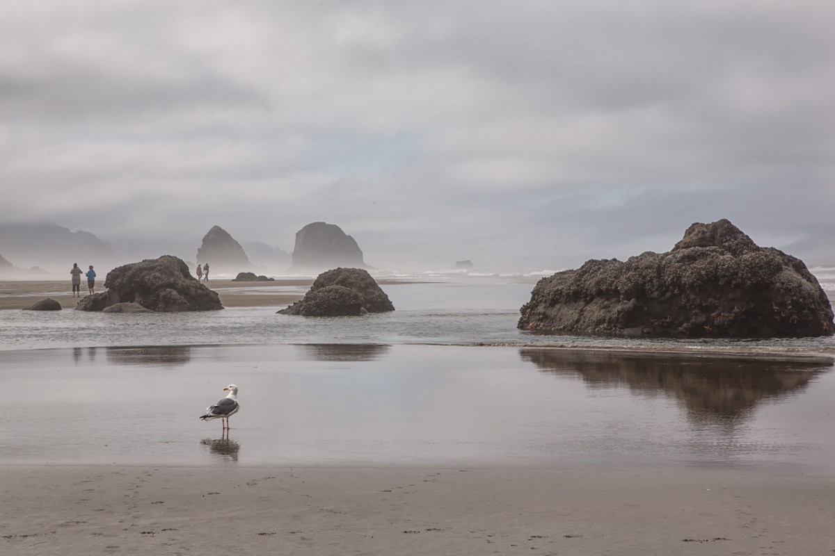 Canon Beach, Oregon