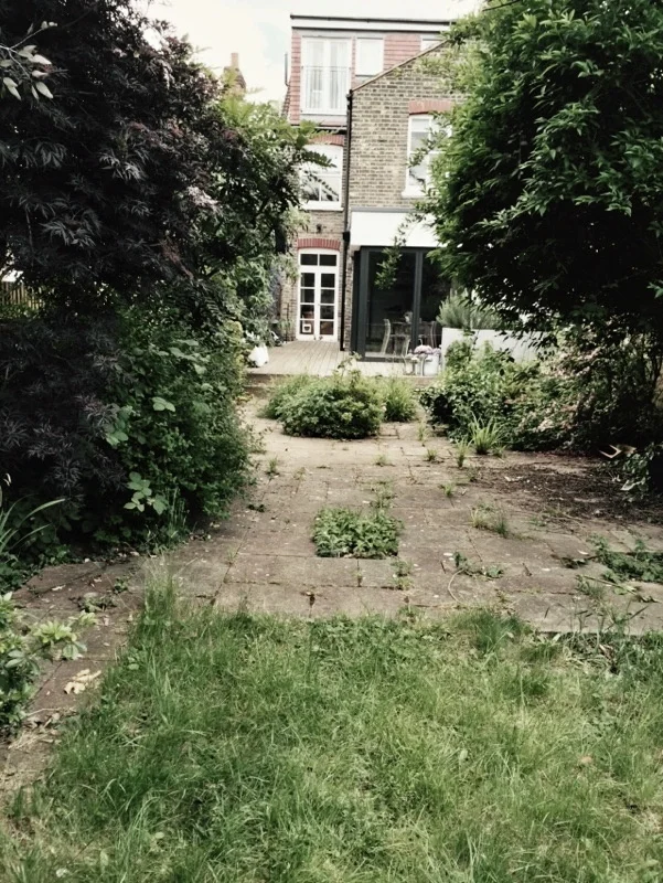 Welcome to the North London rainforest