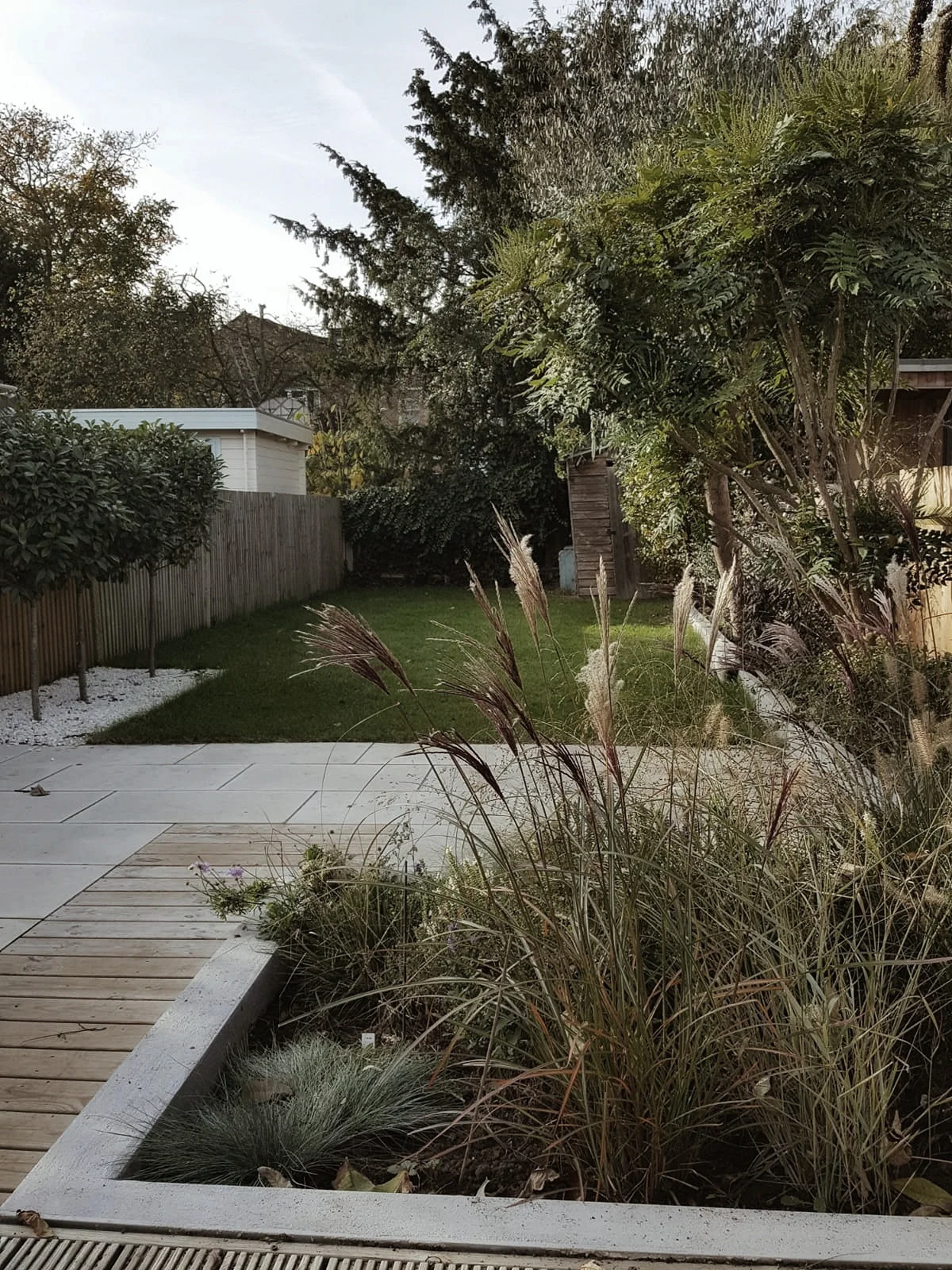 We have used lots of ornamental grass in the planting because it looks contemporary and is most importantly really hard to kill