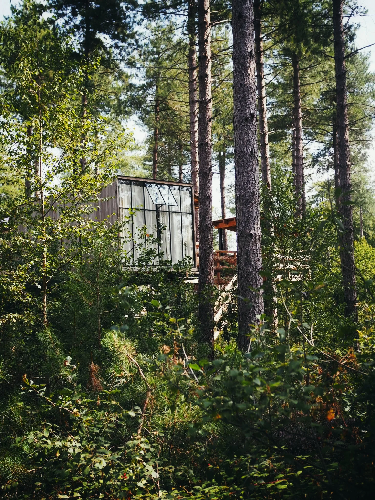 This is the cabin in the trees that we have our eye on for next time!