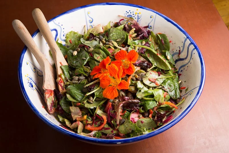 Spring Salad with Herb Vinaigrette