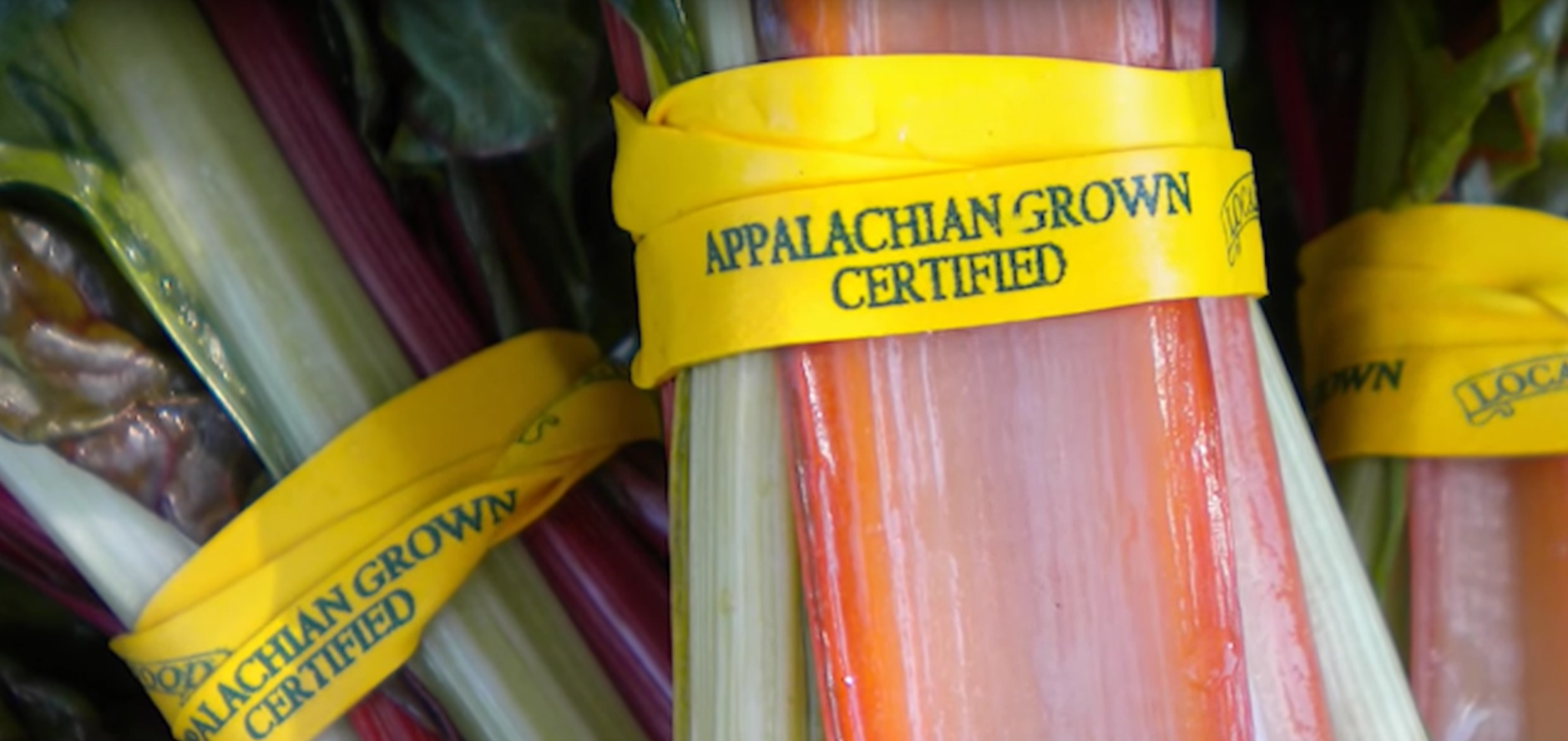 Appalachian Sustainable Agriculture Project