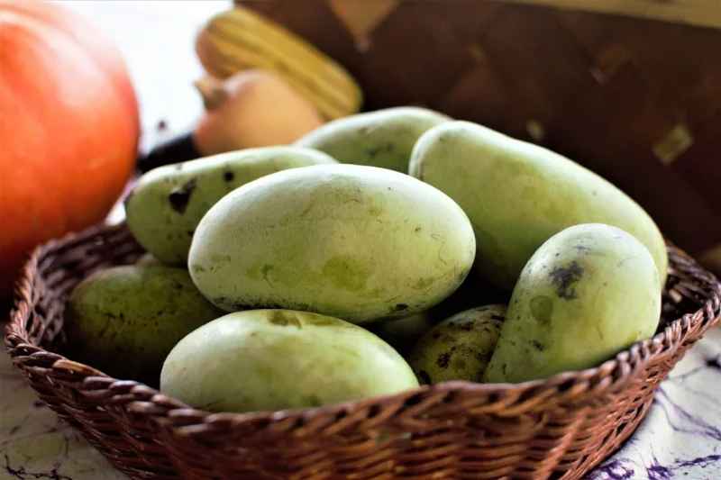 pile of paw paw.jpg