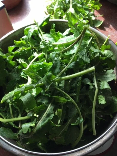 Radish Leaf Remoulade