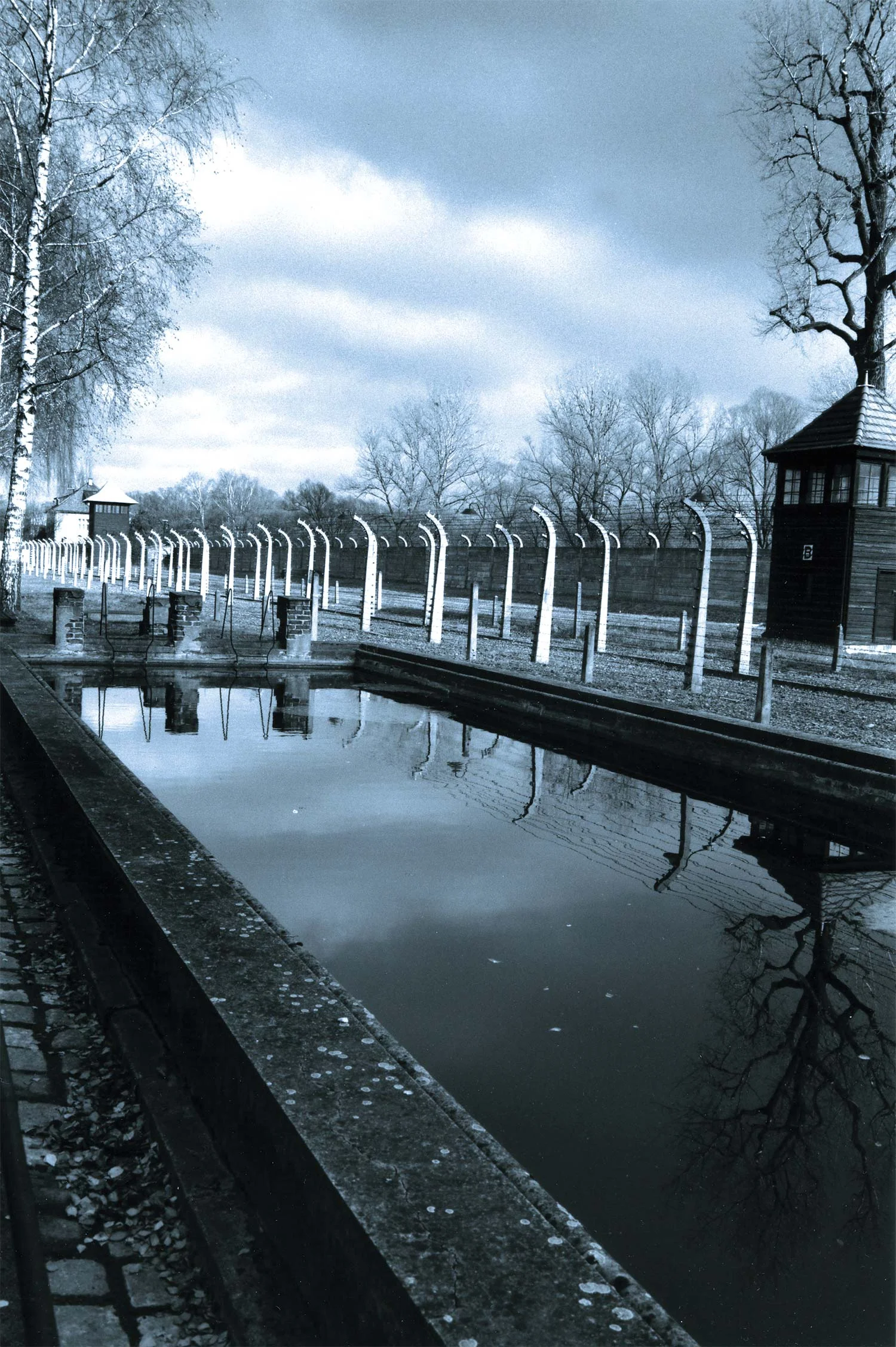 SwimAuschwitz_Main.jpg