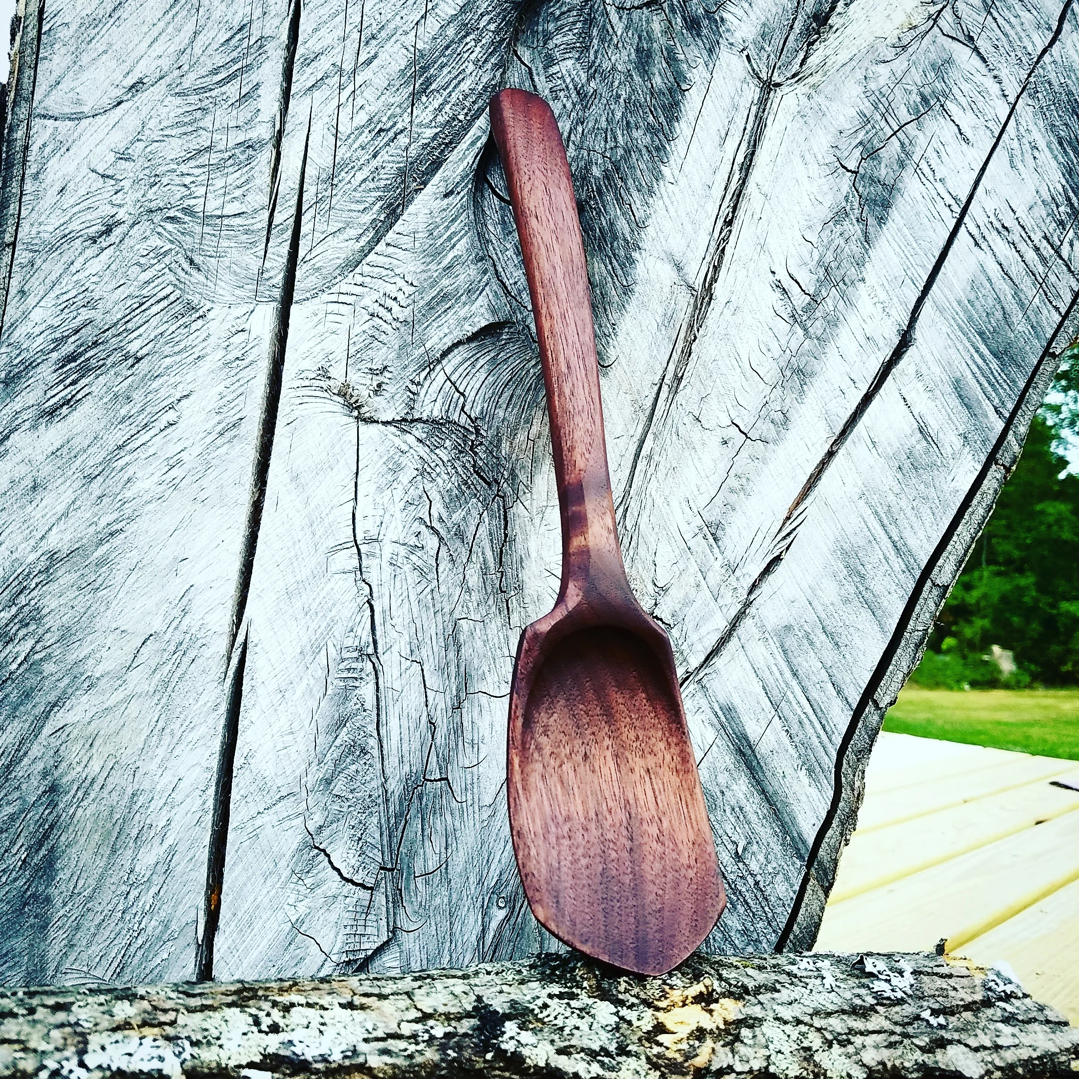 Shallow Serving Spoon