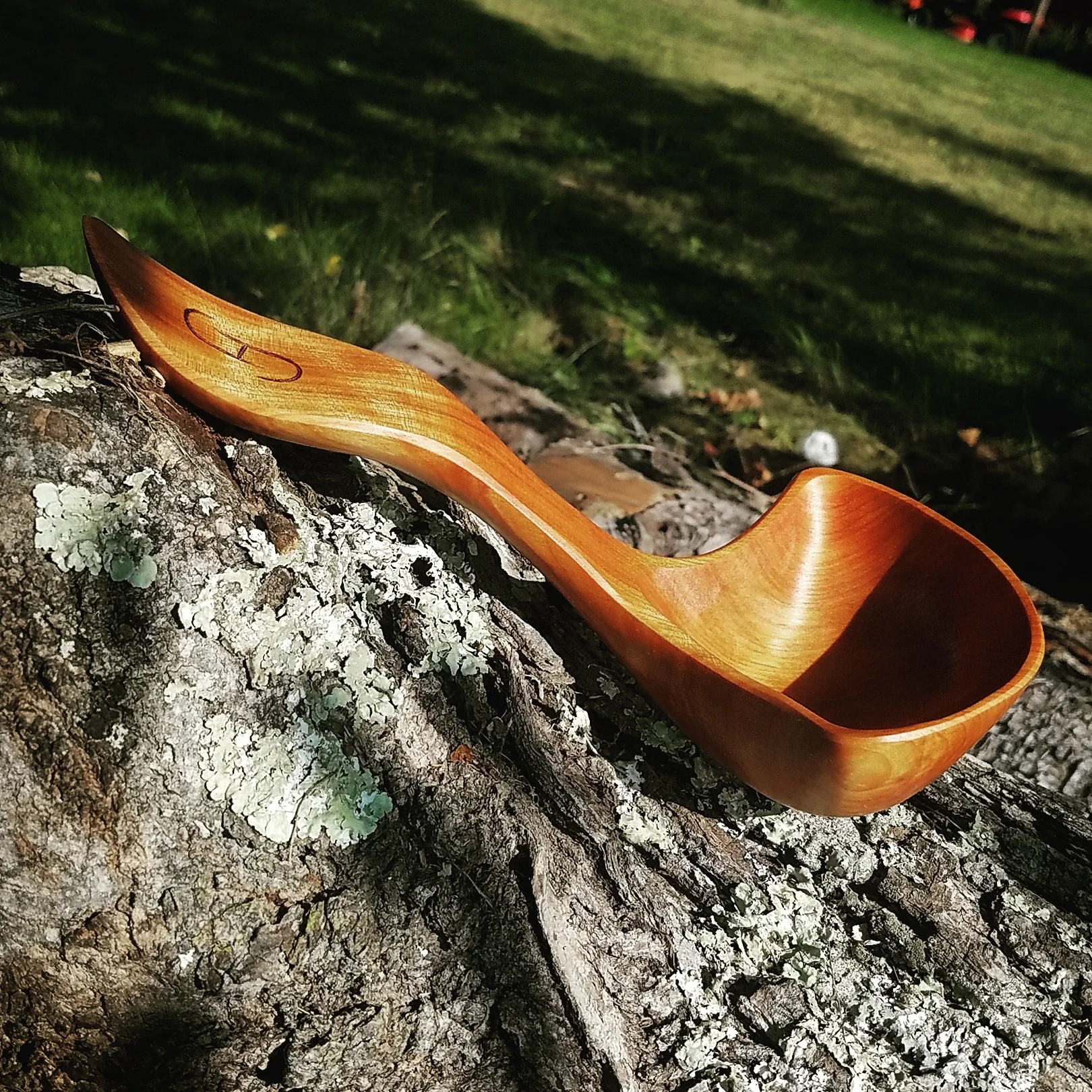 Short ladle