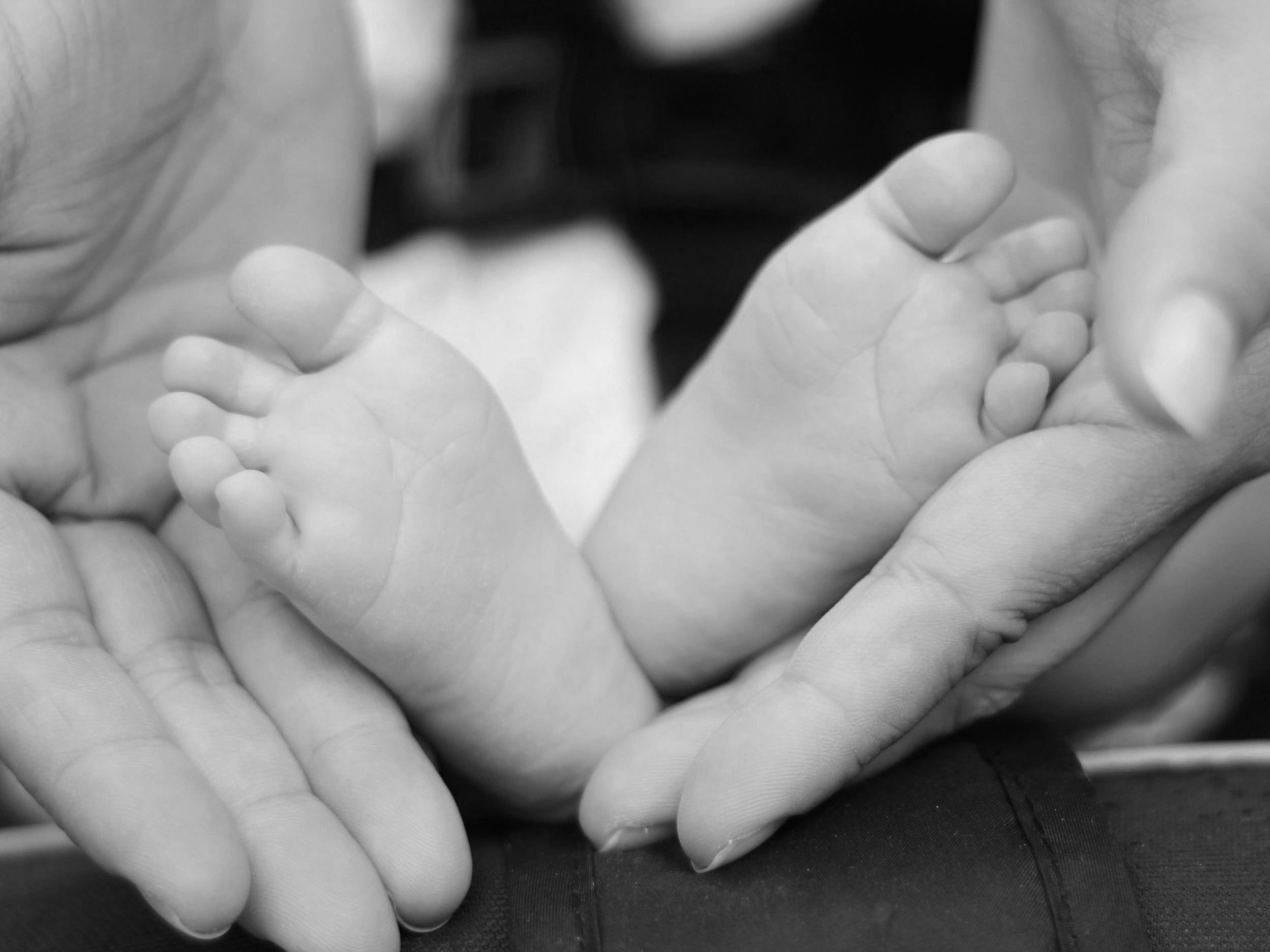 Infant Body Mind Series 2024 (Session 2)