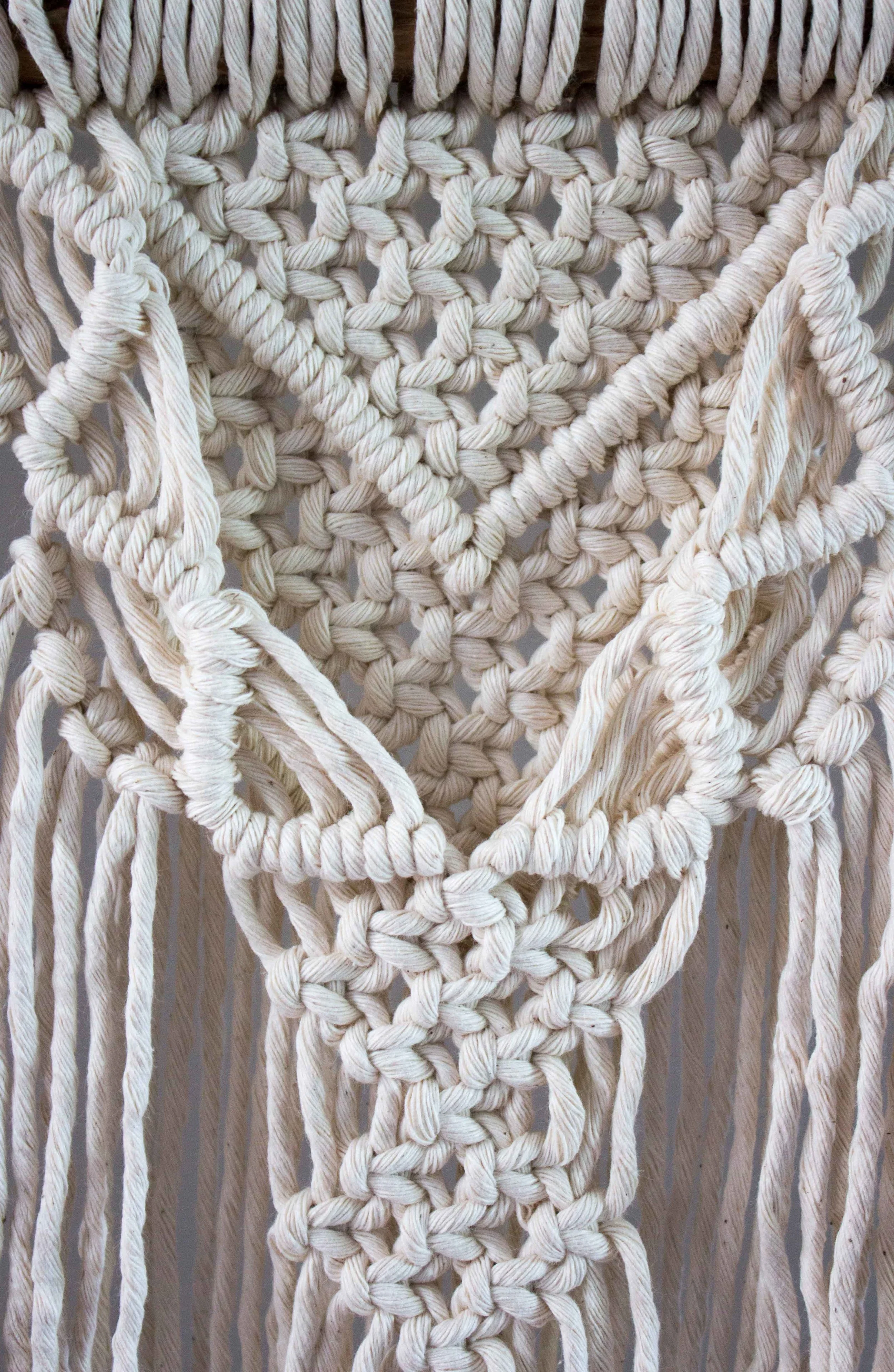WH-Honesty-greyBG-closeup2.jpg