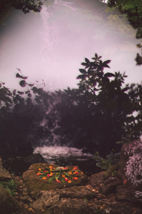 Screen+Shot+2016-05-15+at+11.46.52+AM.png