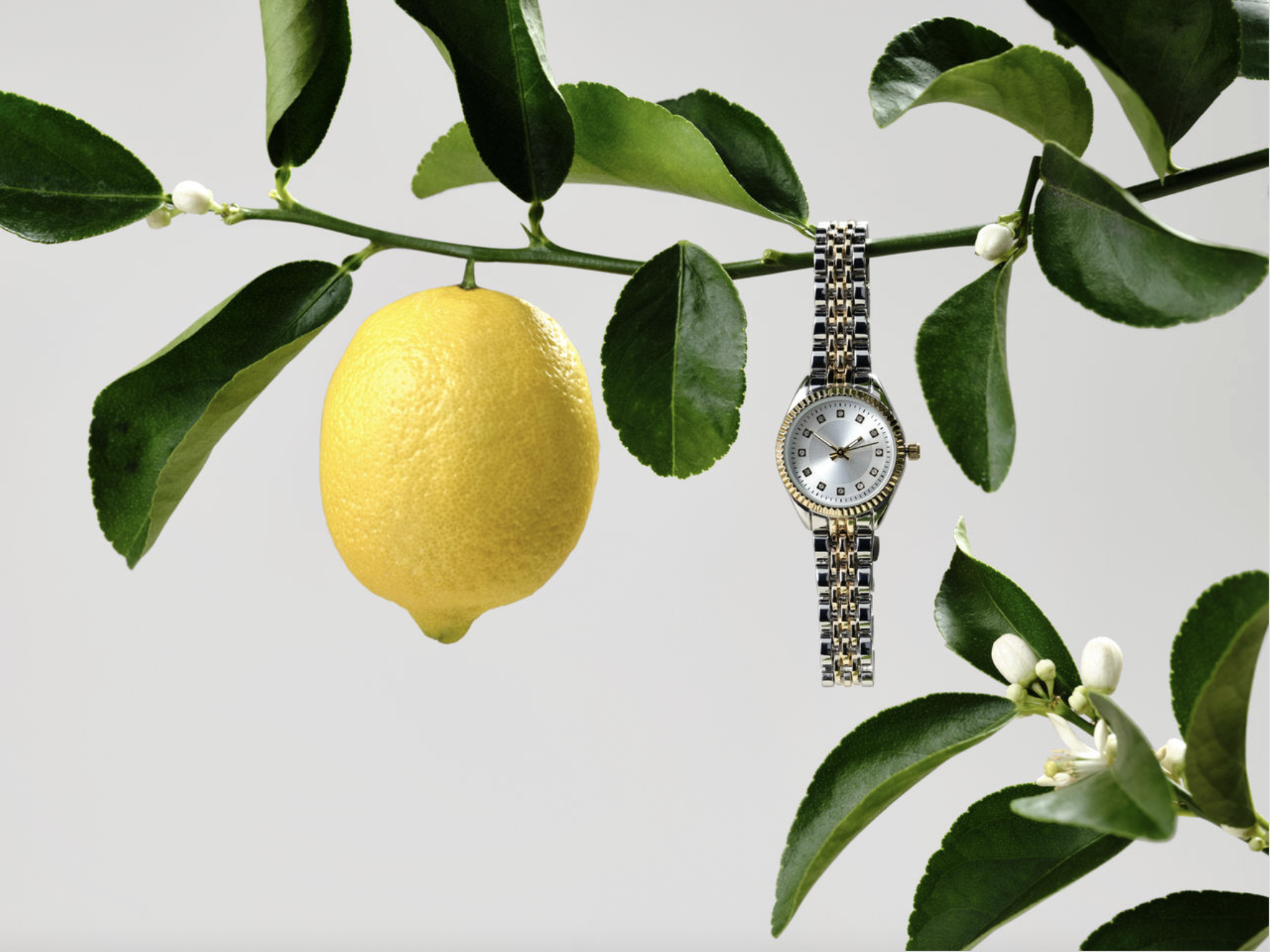 Screenshot 2026-02-25 at 5.22.52 PM.png