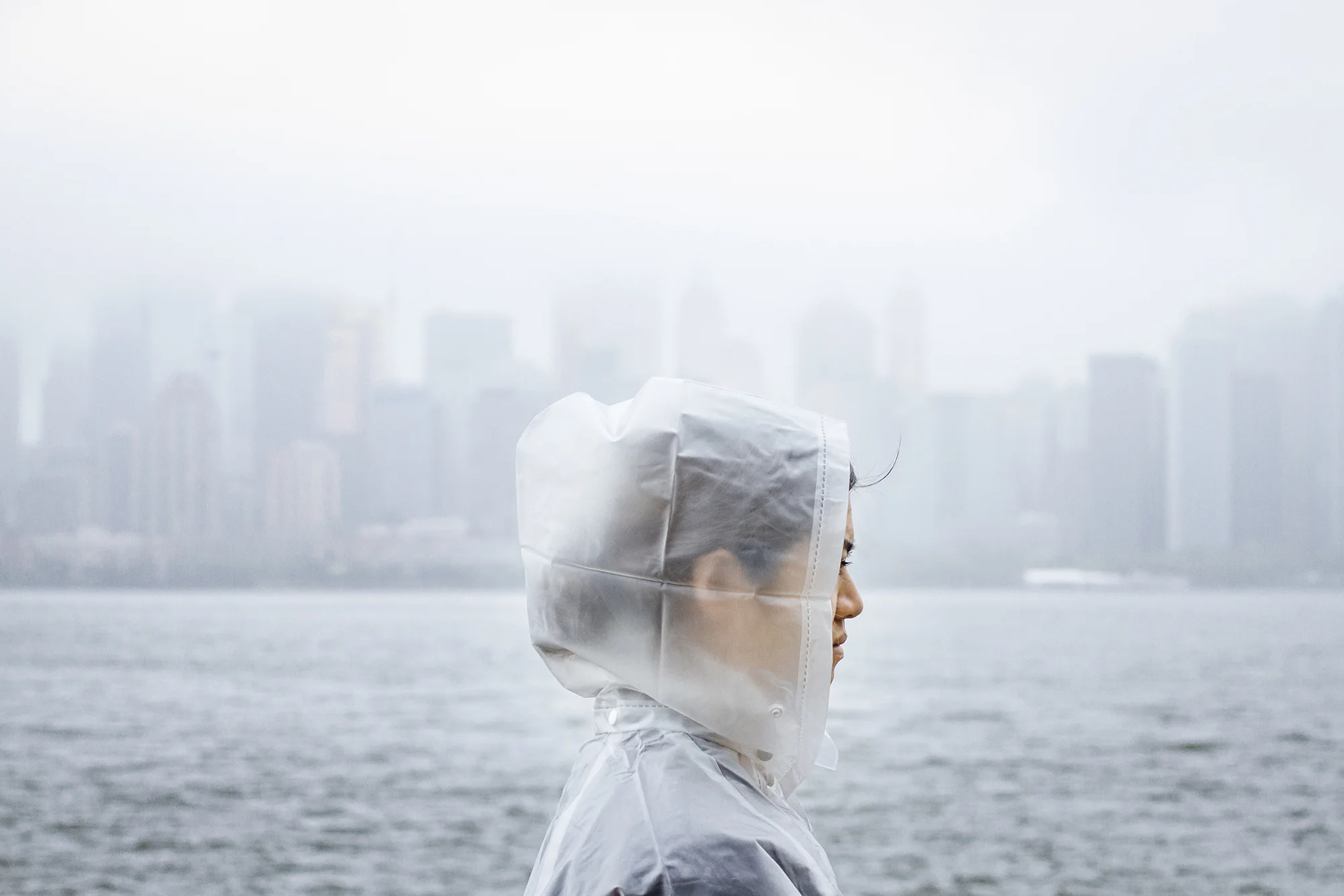 Fog_Ellis.jpg