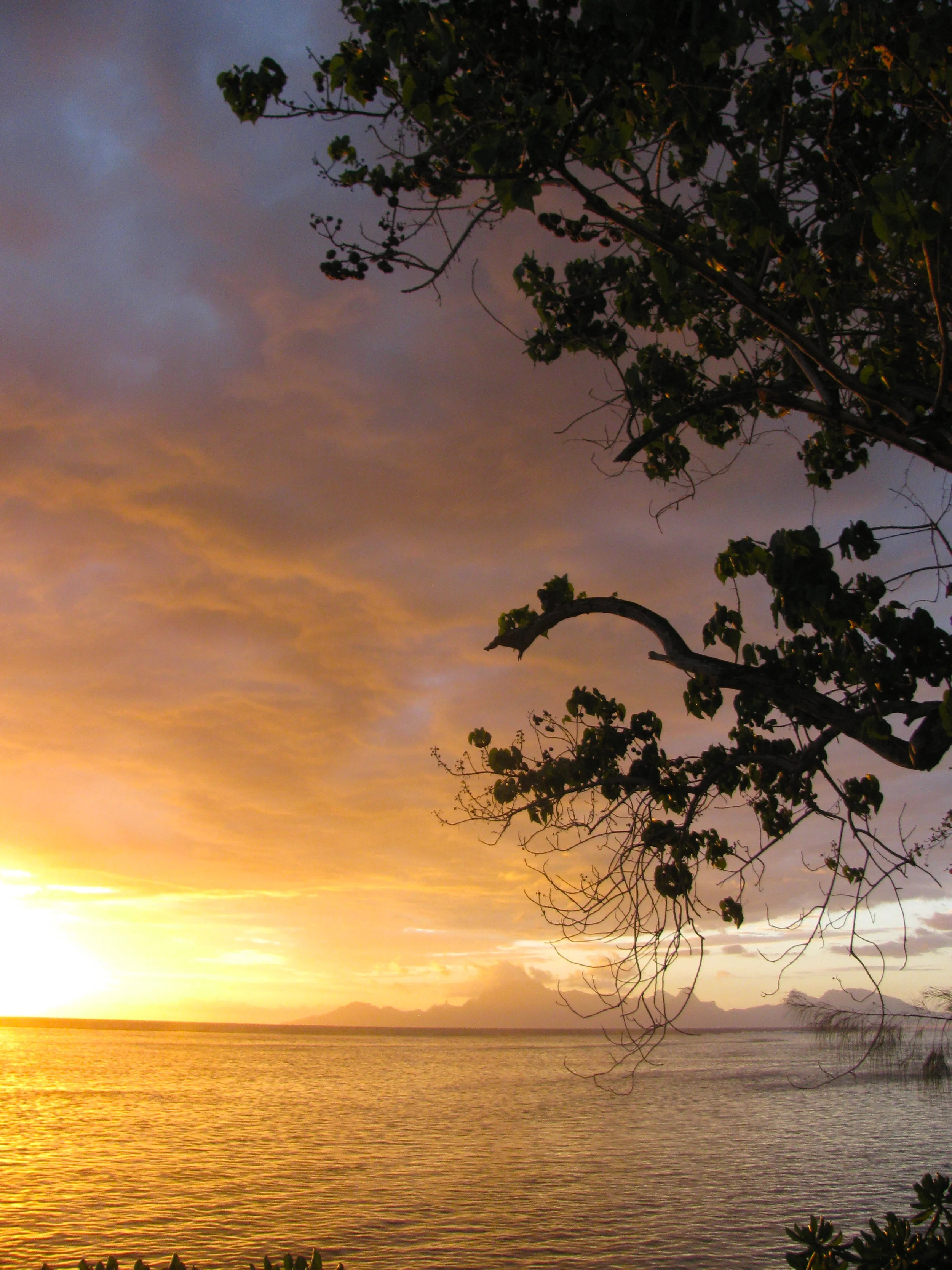  French Polynesia 9-14 