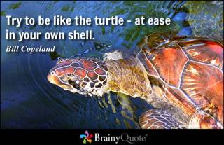 Turtle (At ease in own shell caption).jpg