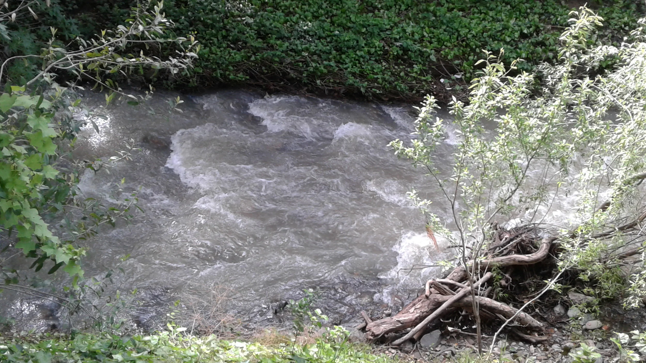 20170408_155652.jpg