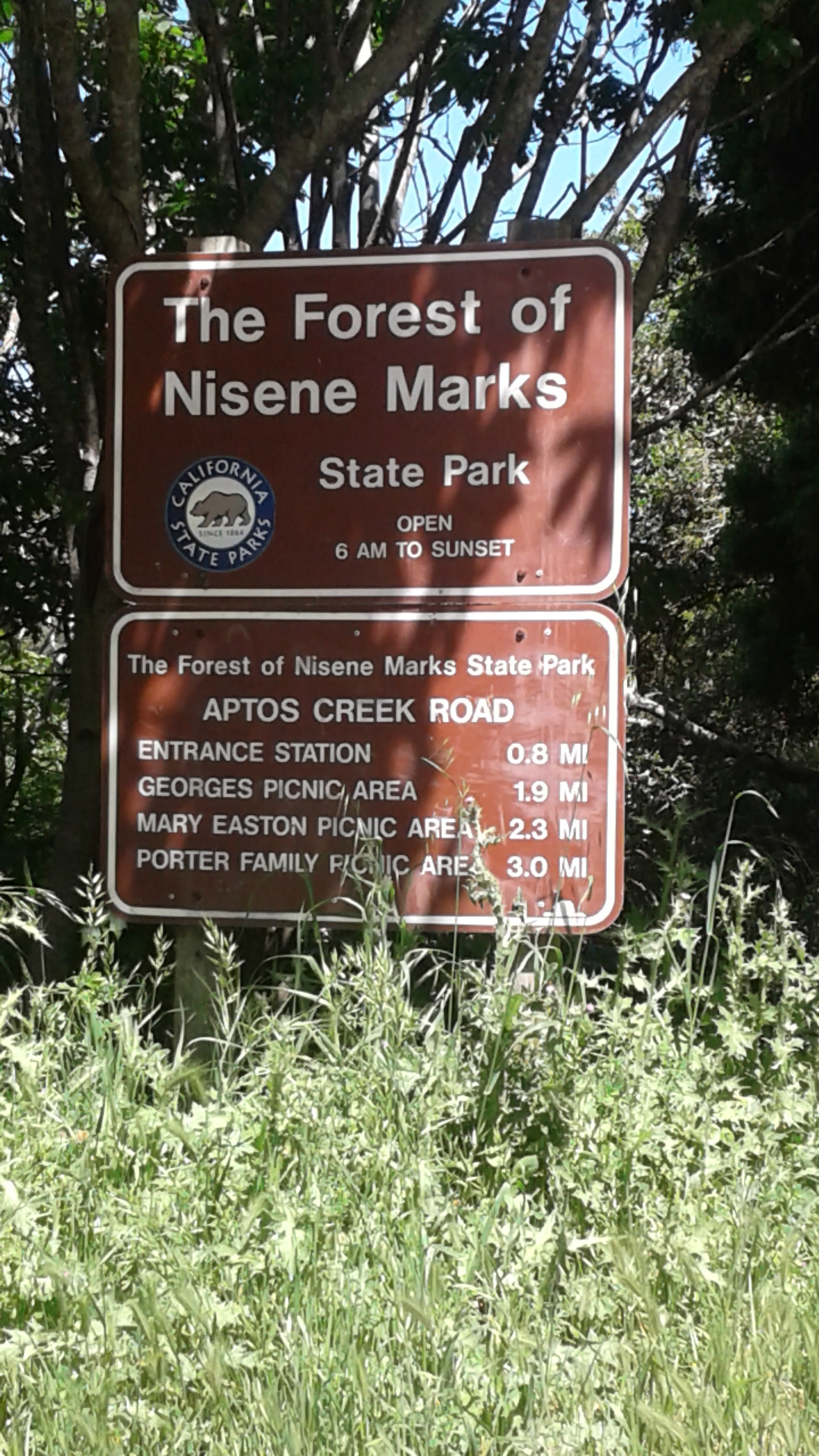 SIgn Forest of Nicene Marks.jpg
