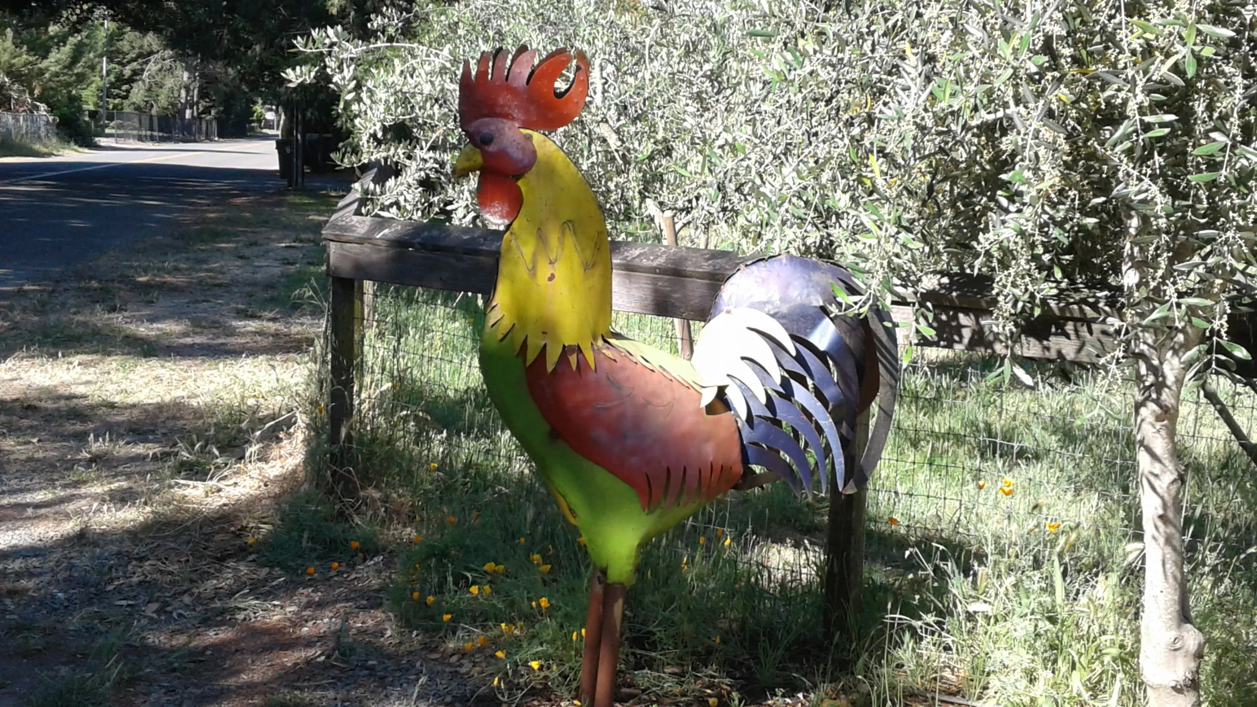 Rooster sculpture.jpg