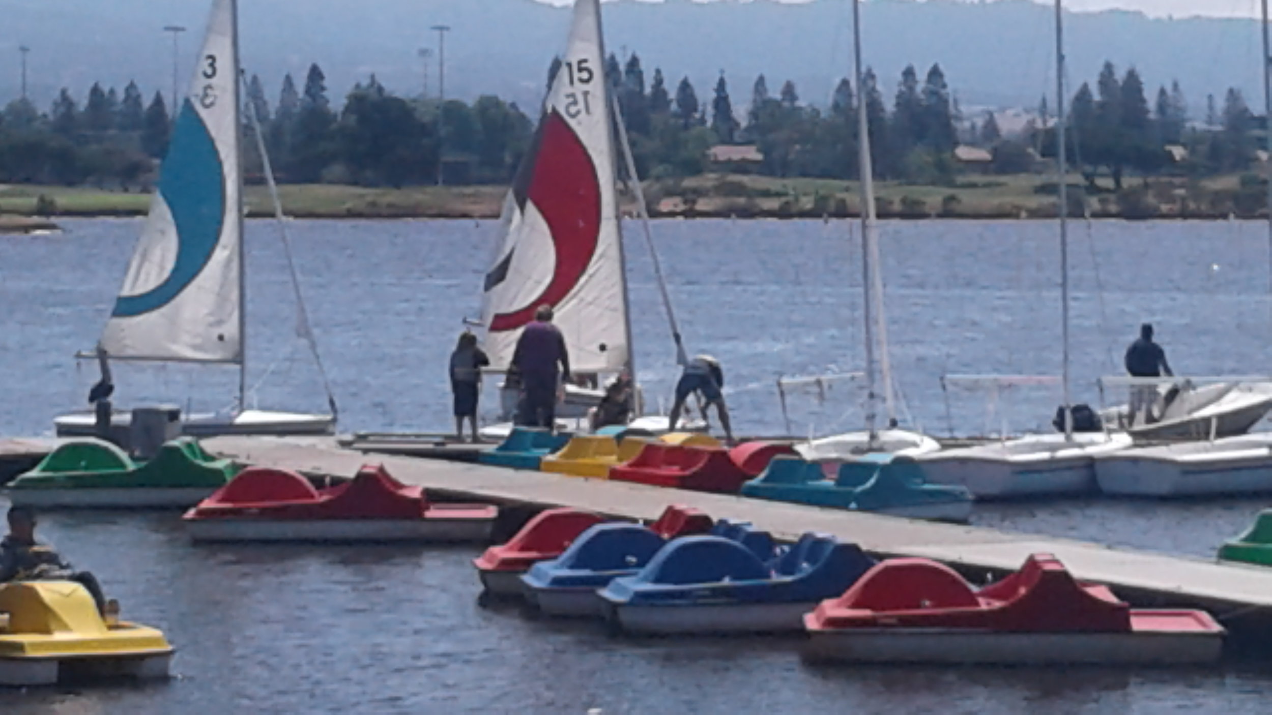 Dock sailboats & Paddle boats.jpg