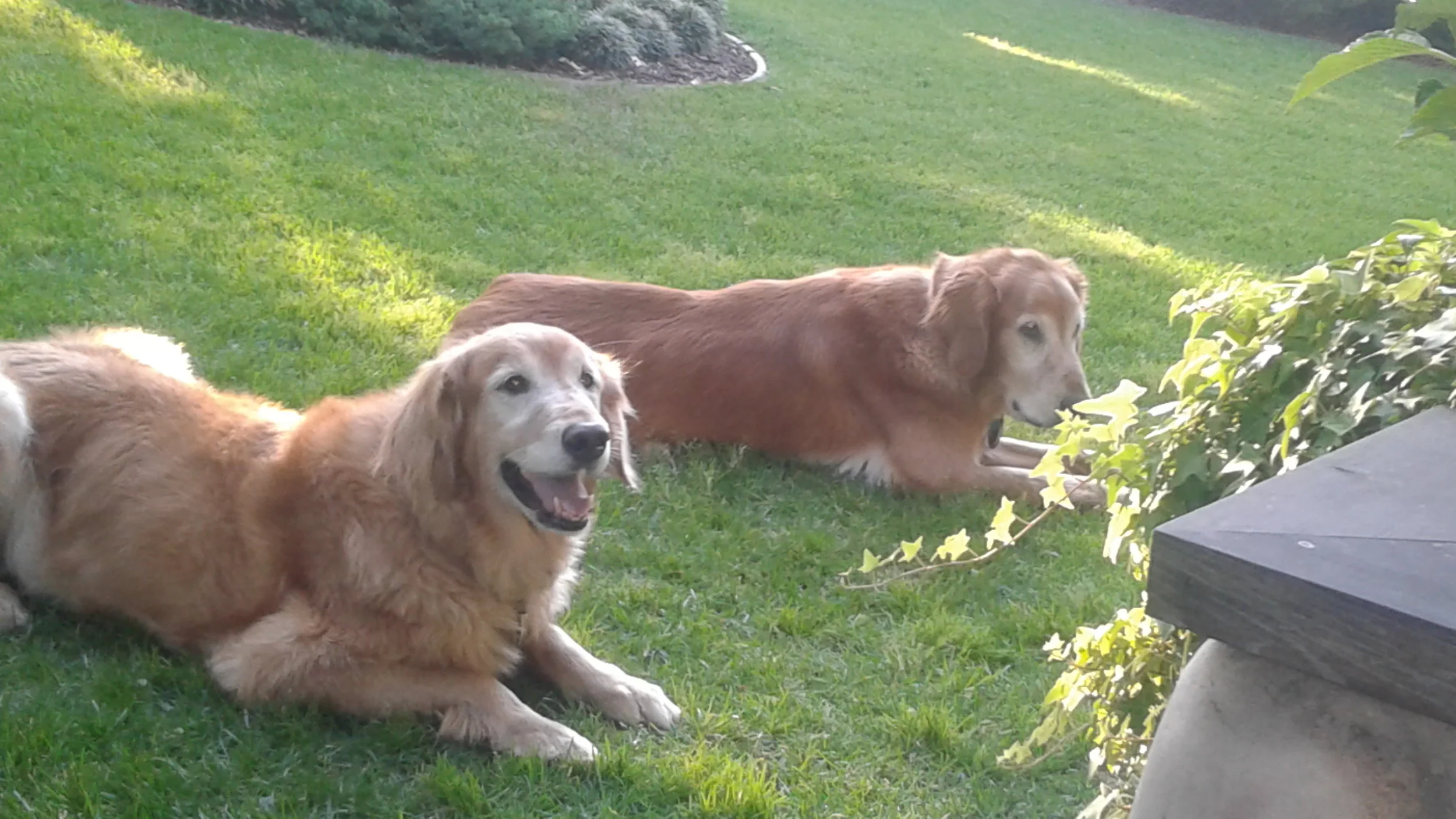 Hunter and Bailey.jpg •.jpg