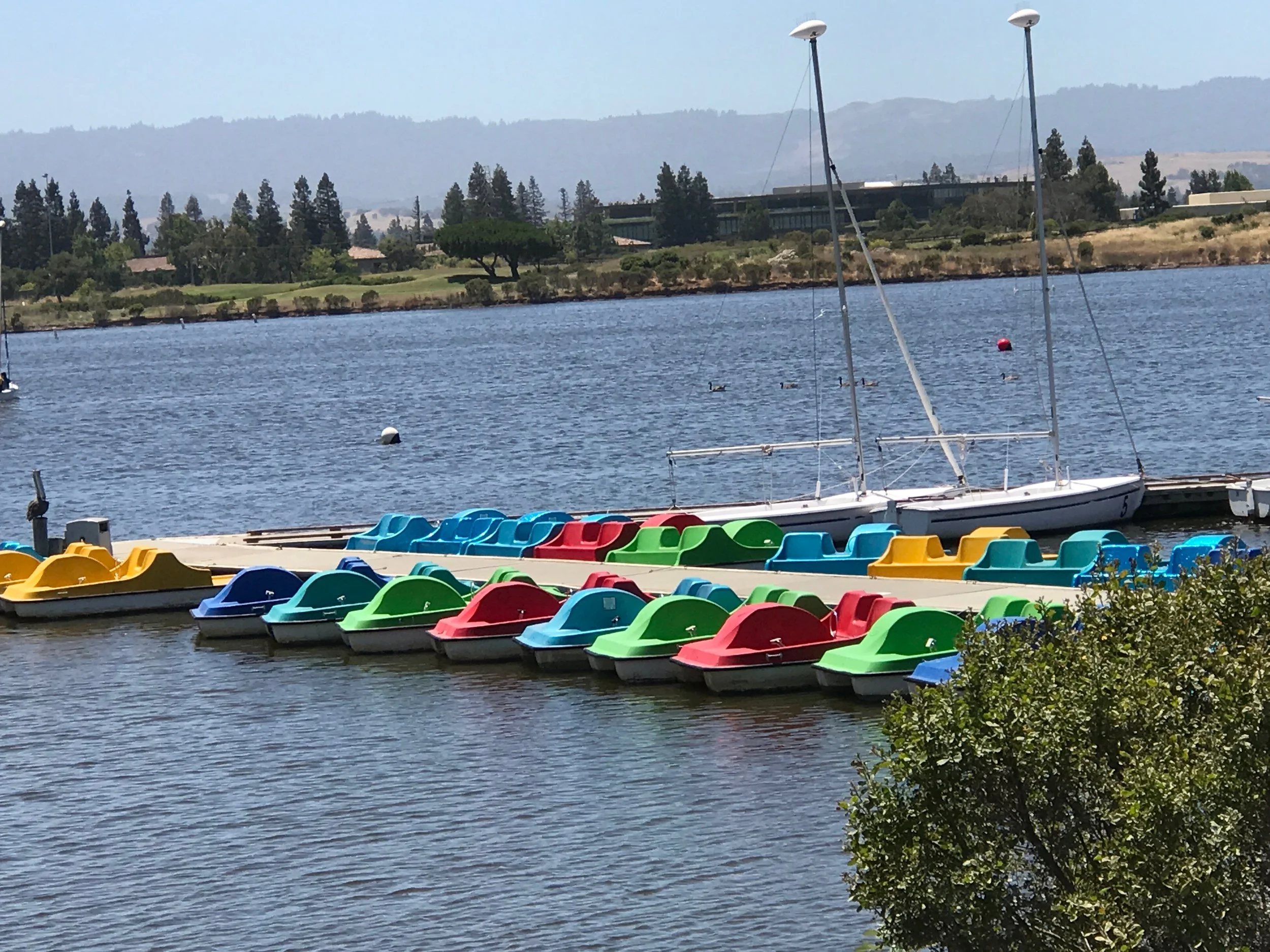 Paddle boats at dockIMG_0347.jpg