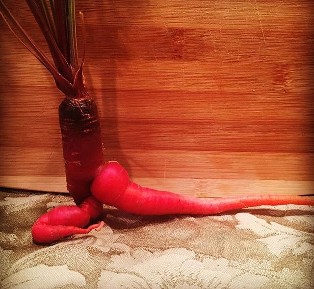 Carrot Yoga By @debbiefgleeson.jpg