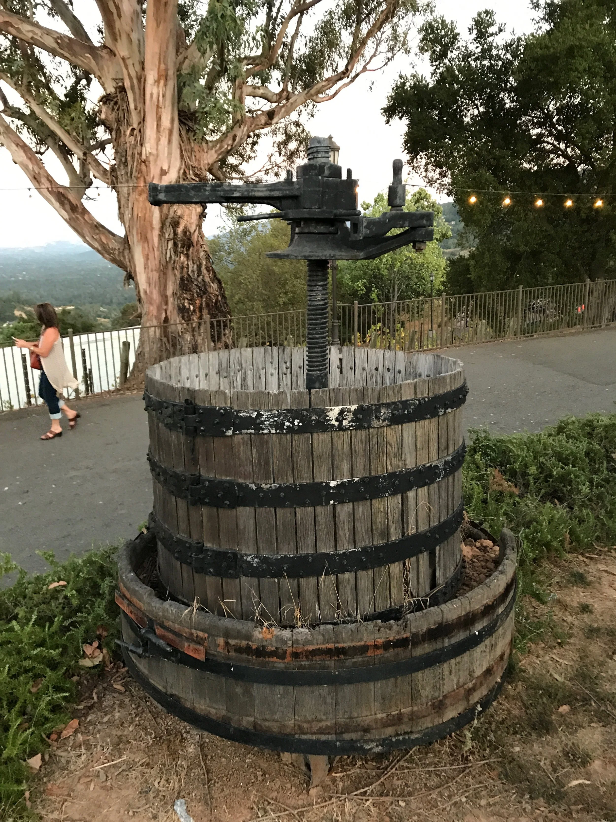 Grape Crusher IMG_1996.jpg
