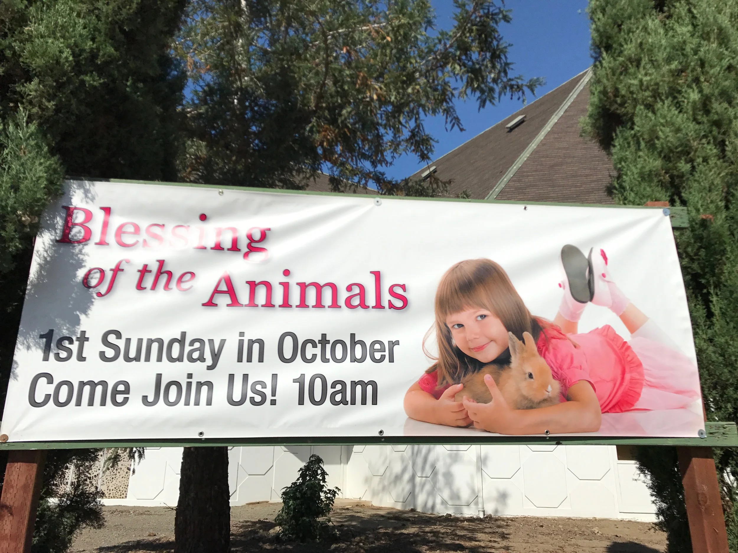 Blessing of Animals sign IMG_2369.jpg*.jpg