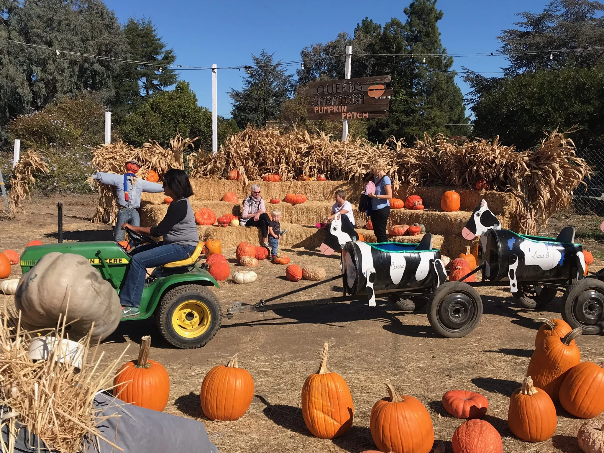 Tram ride pumpkin patch w Sign .jpg*.jpg