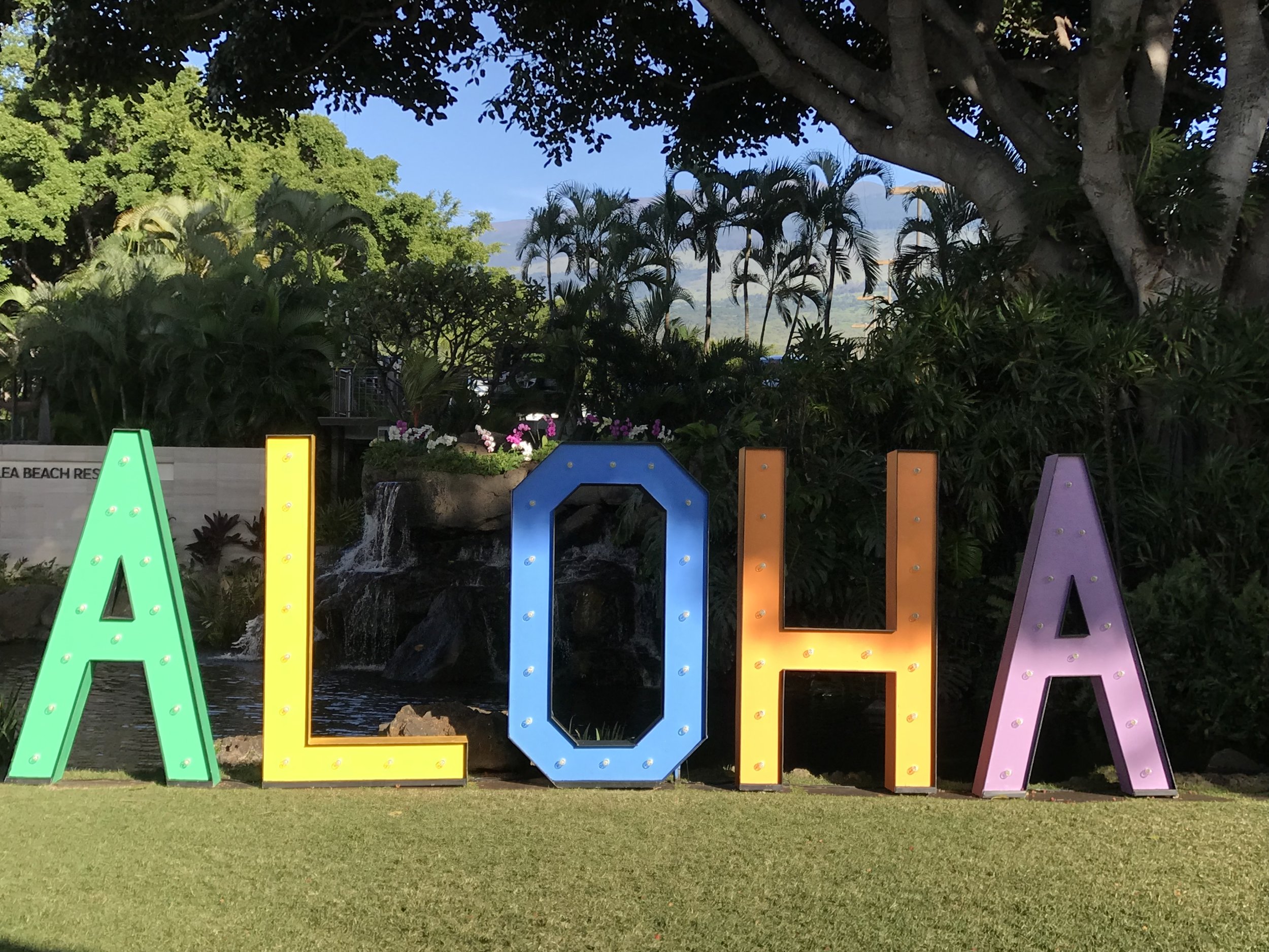 Aloha colored sign .jpg*.jpg