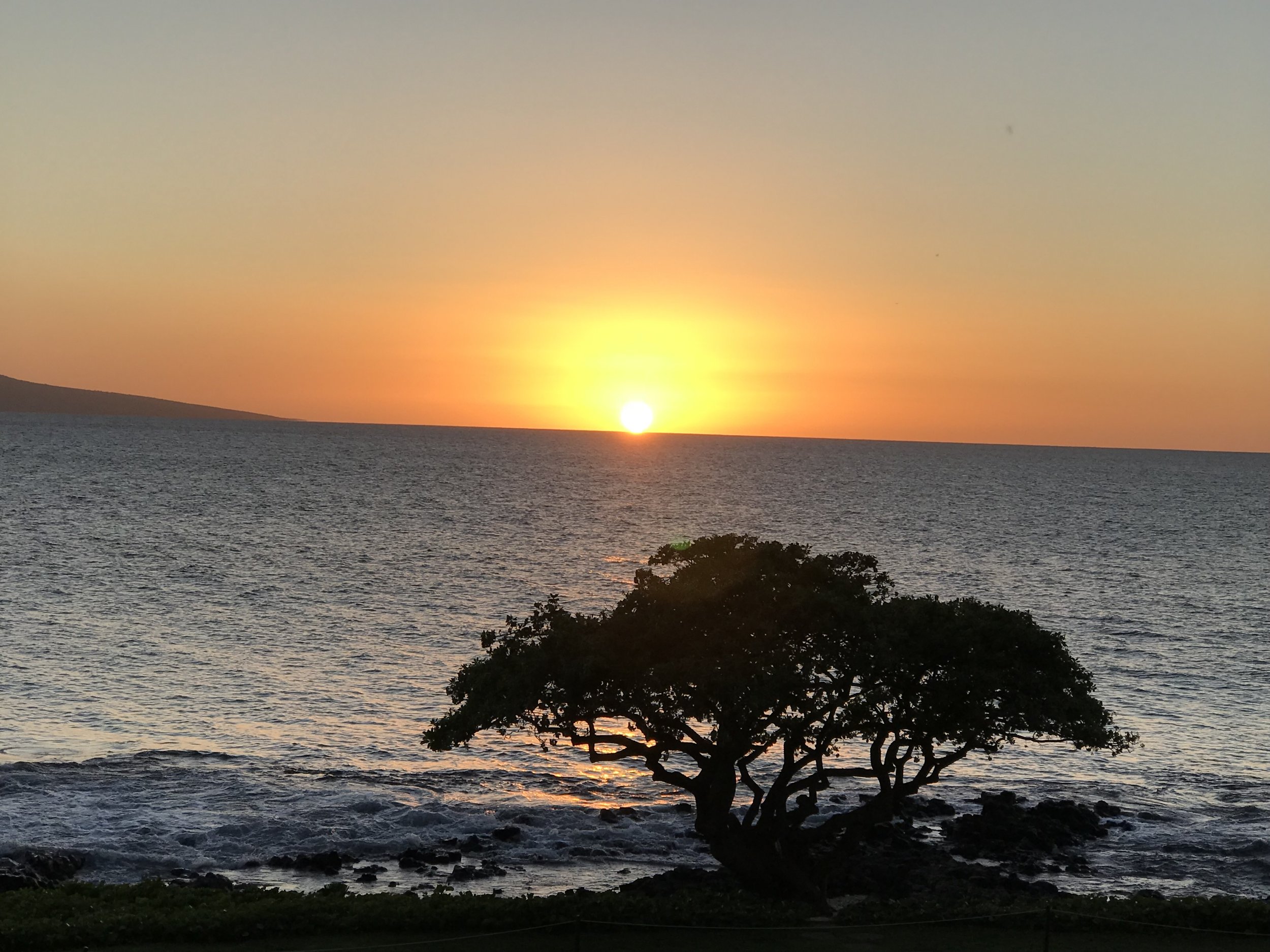 Sunset w tree 2.jpg*.jpg