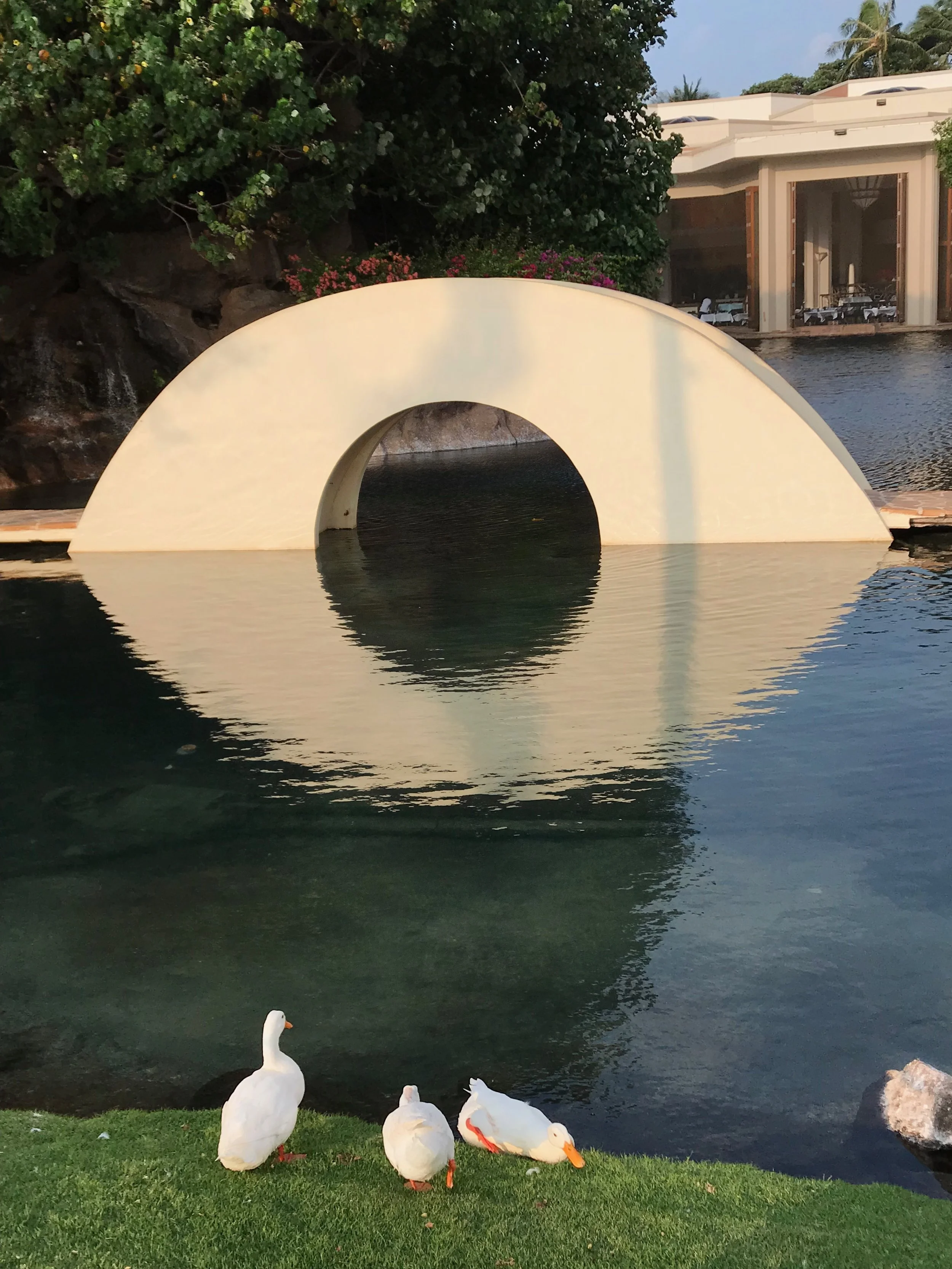 white Arch walking bridge & Swans.jpg*.jpg