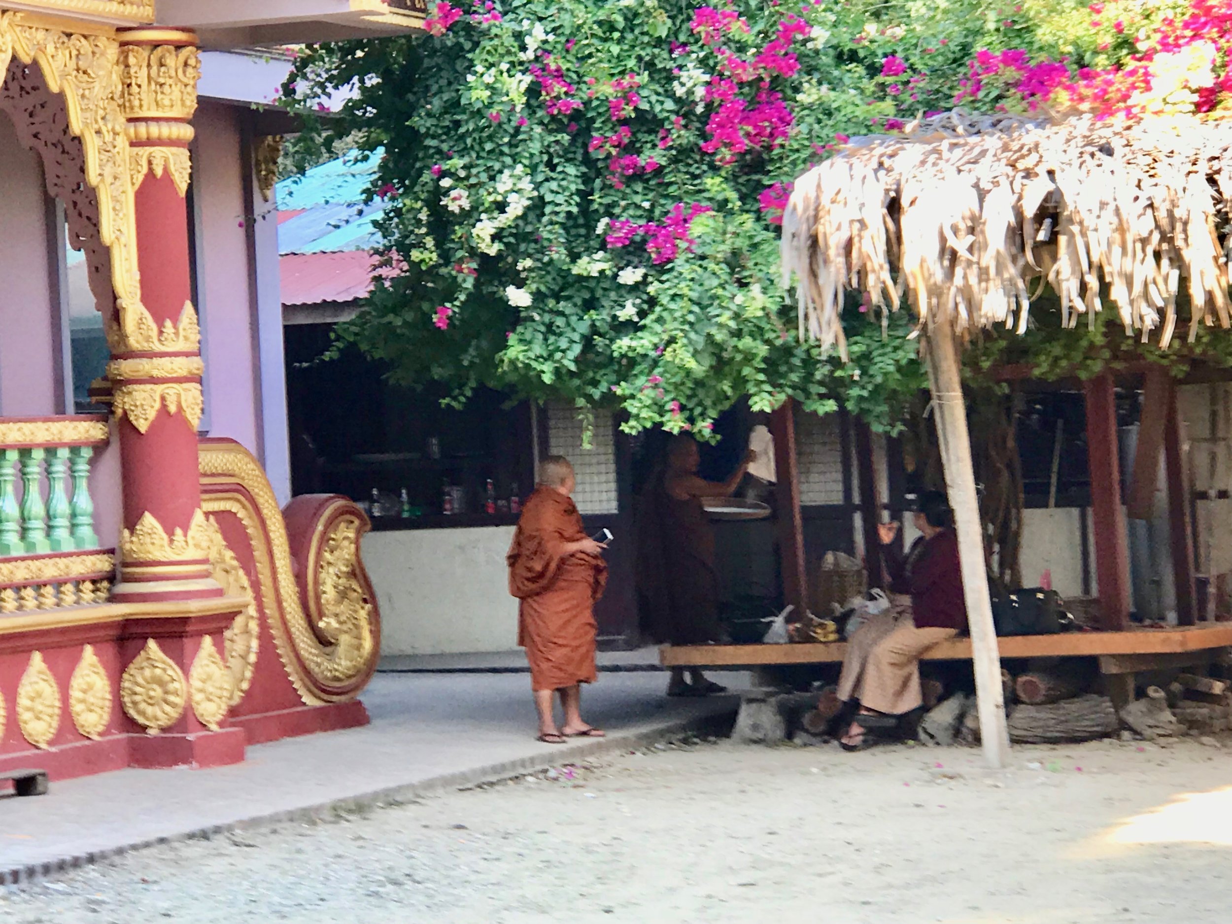 Monks at Kyaswa.jpg