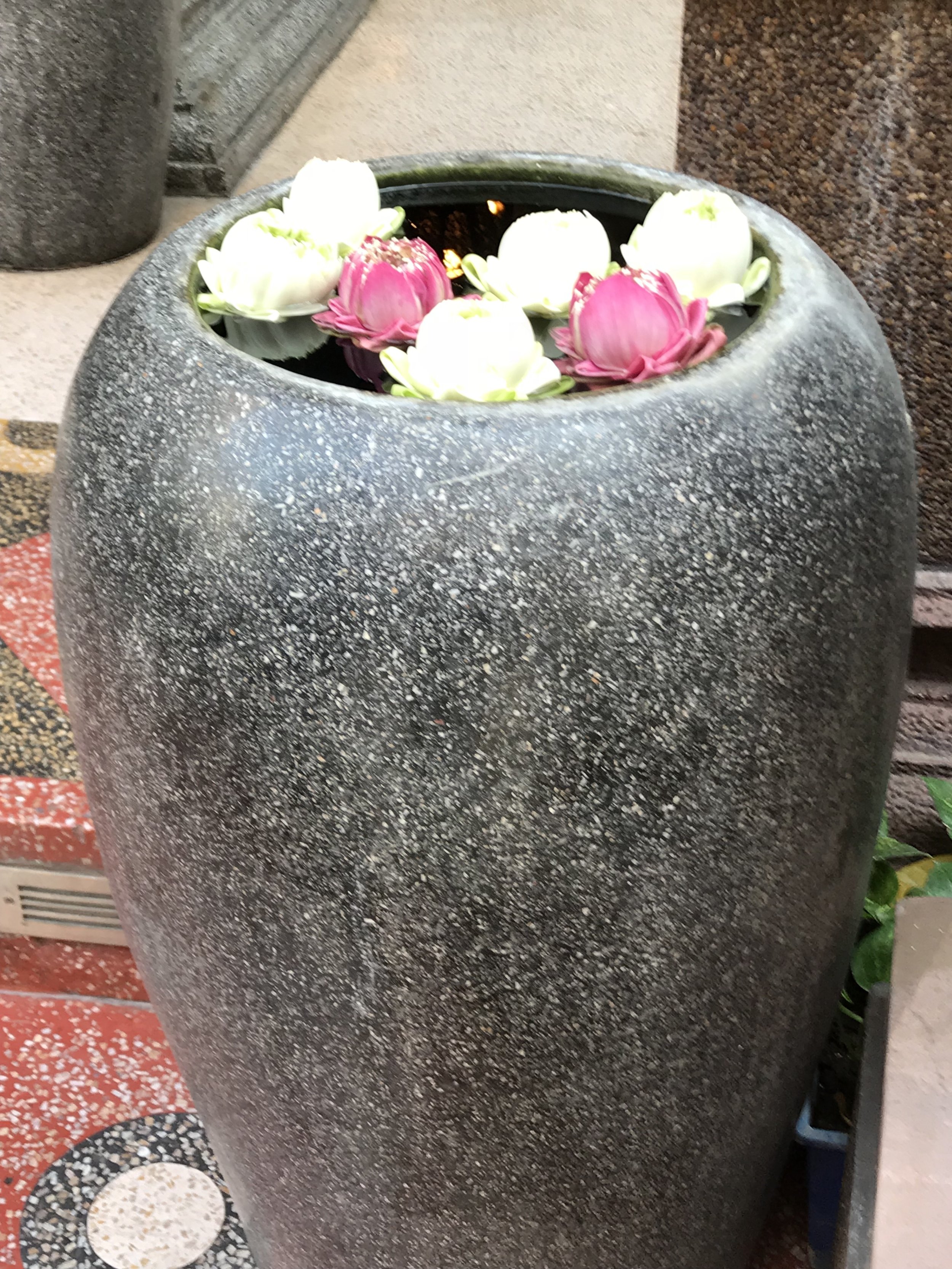 Lotuses in Black Vase.jpg