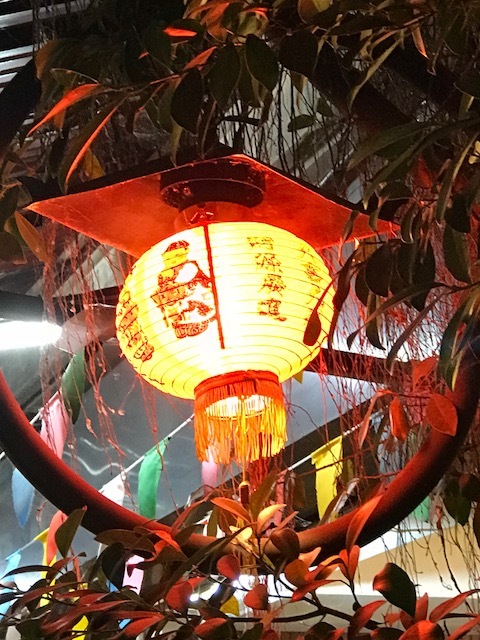 Chinese Lantern Siem Reap.jpg