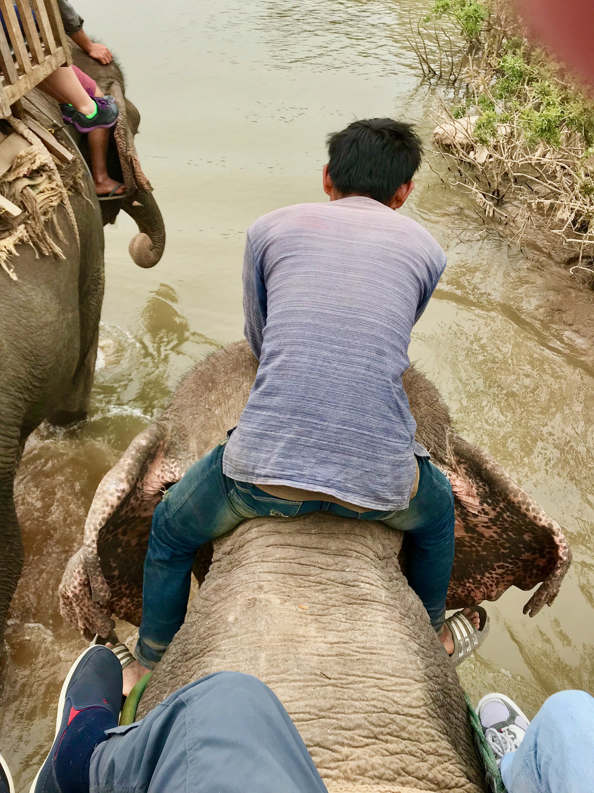 Entering w elephant & Mahout in mekong river to cool off  (Houay Hong, Laos.jpg