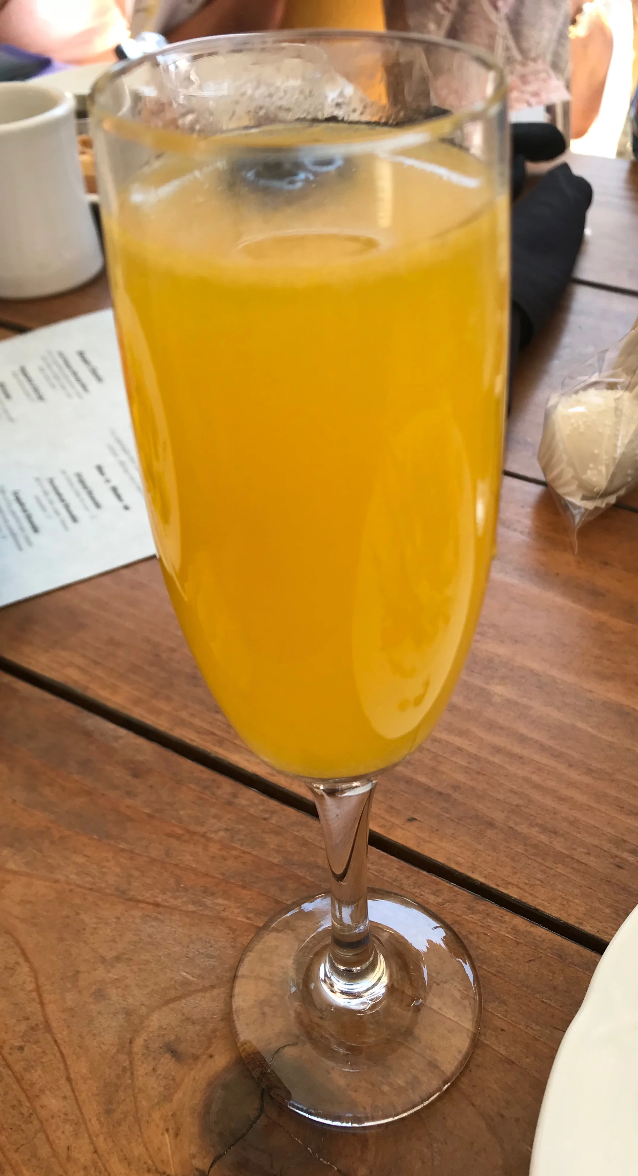 Mimosa.jpg*.jpg
