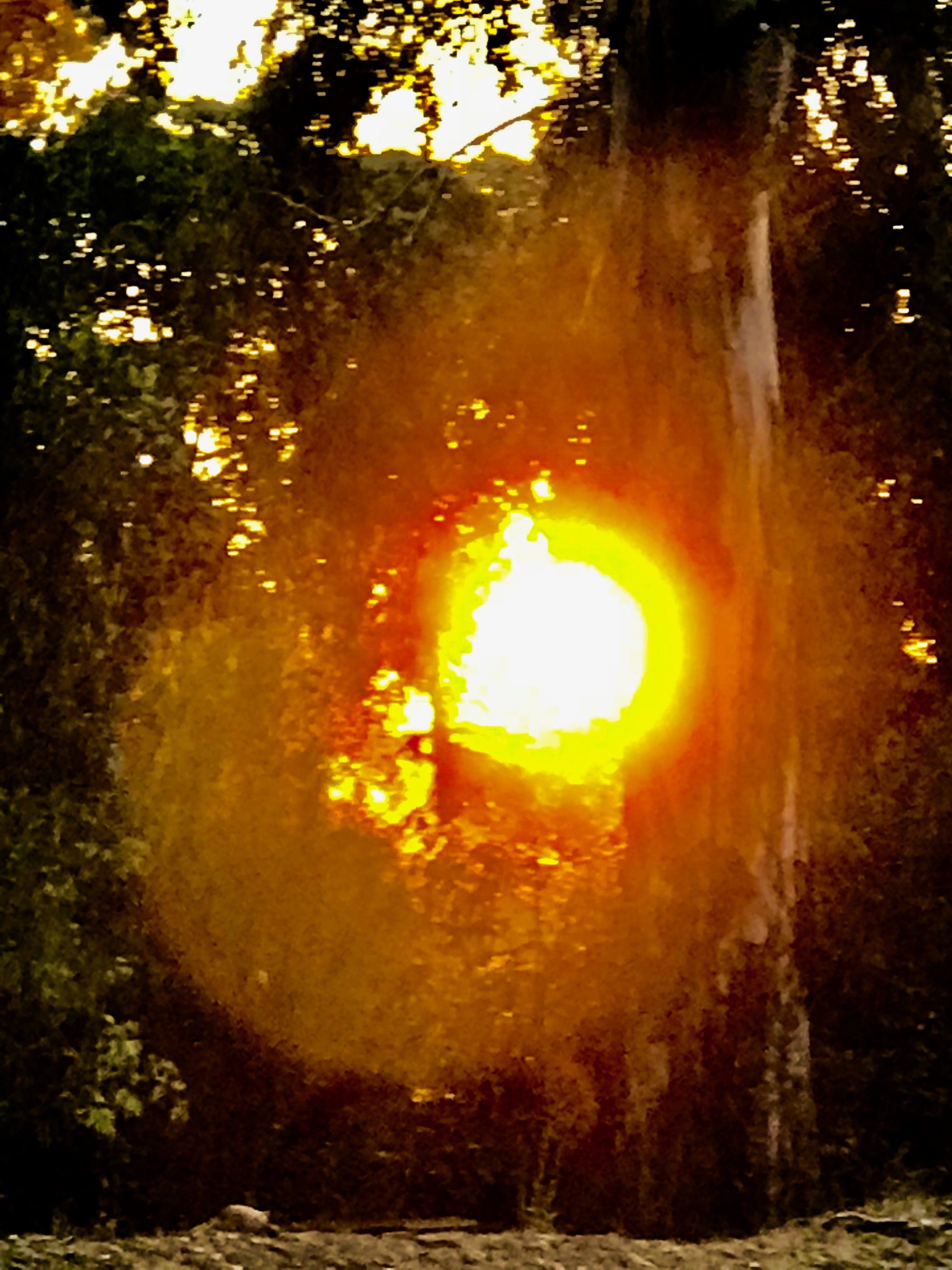 Sunsetting between the trees.jpg*.jpg