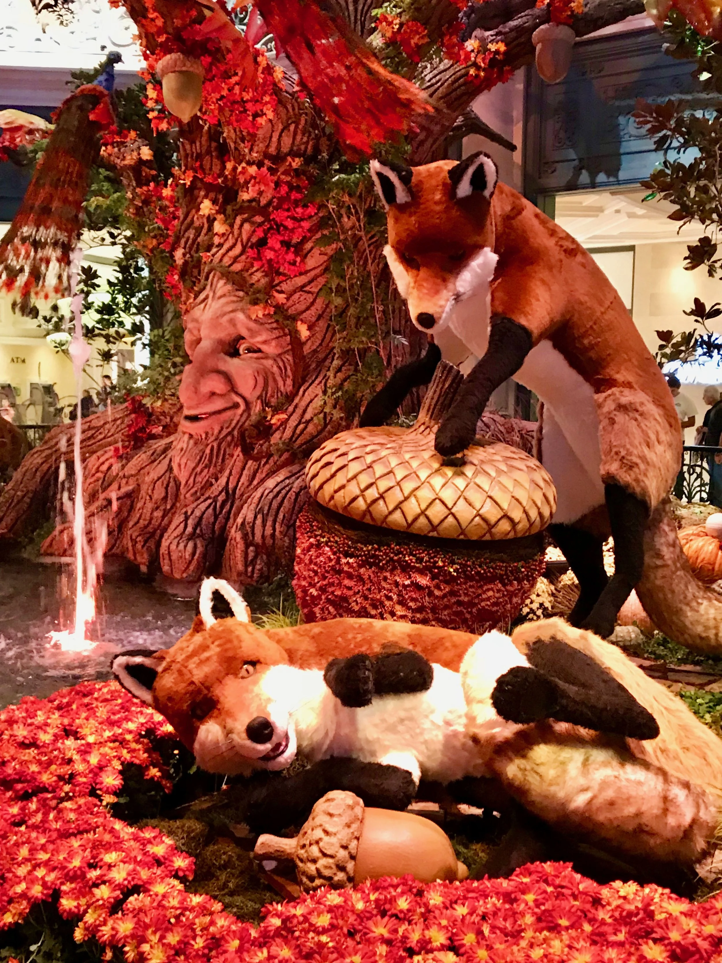 The Foxes .jpg*.jpg