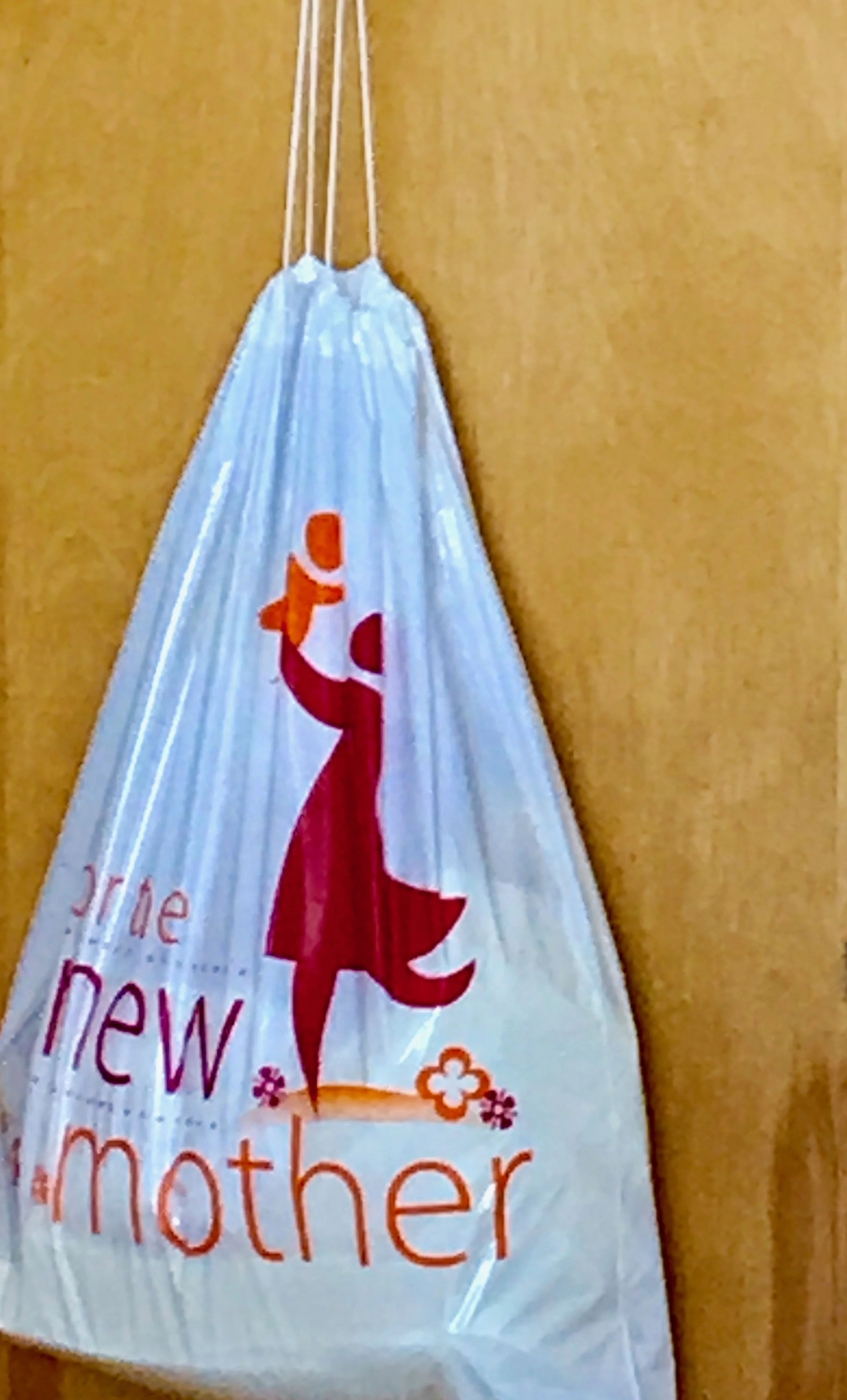 New Mother bag hanging on door.jpeg*.jpeg