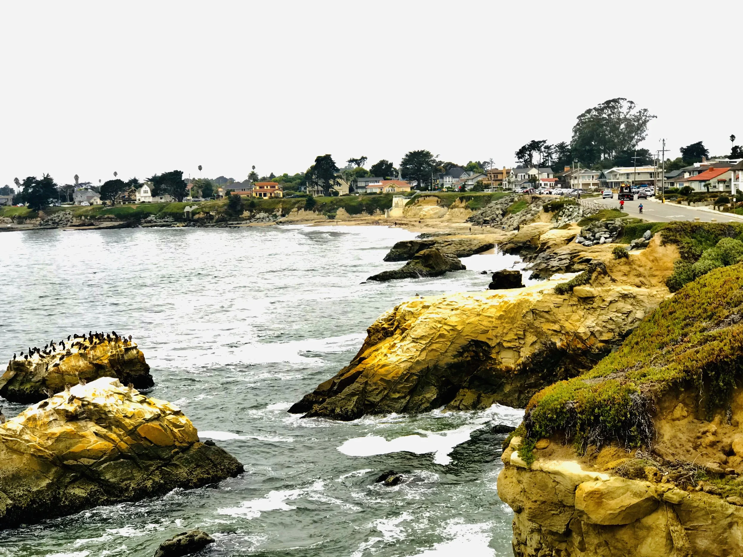 IMG_8281.jpeg (Bluffs, Ocean, Homes)*.jpeg