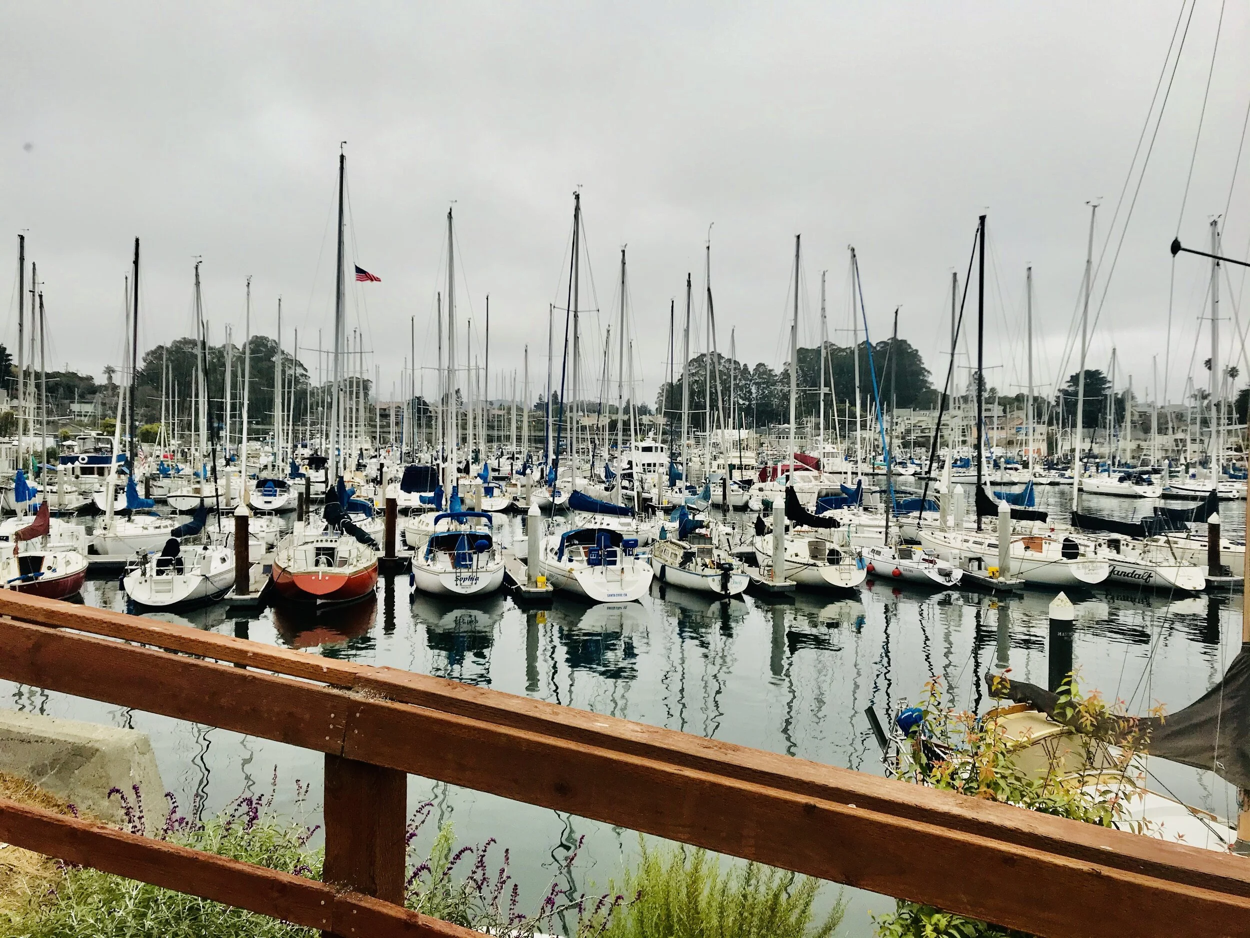 IMG_8212.jpeg SC small Craft harbor*.jpeg